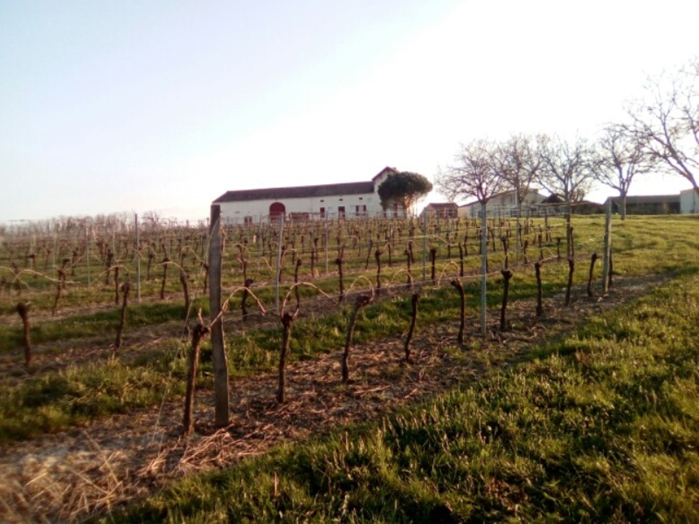 rượu vang clos laborie