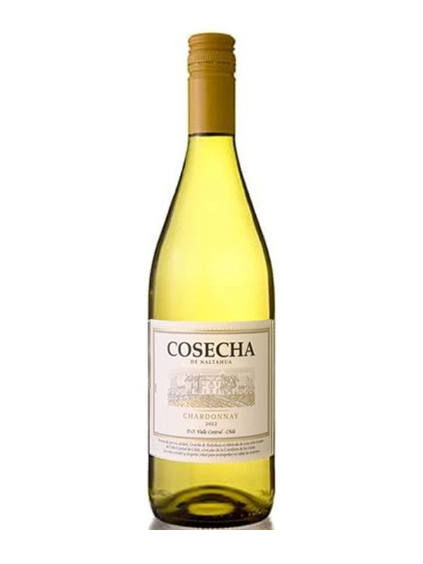 rượu vang cosecha chardonnay