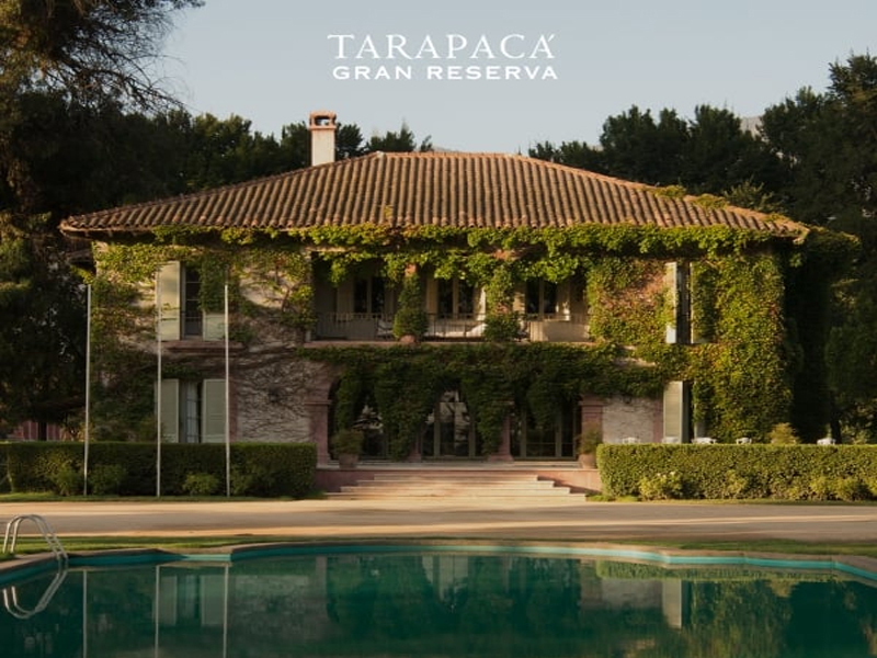 rượu vang cosecha chardonnay