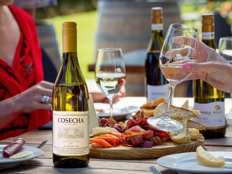 rượu vang cosecha chardonnay