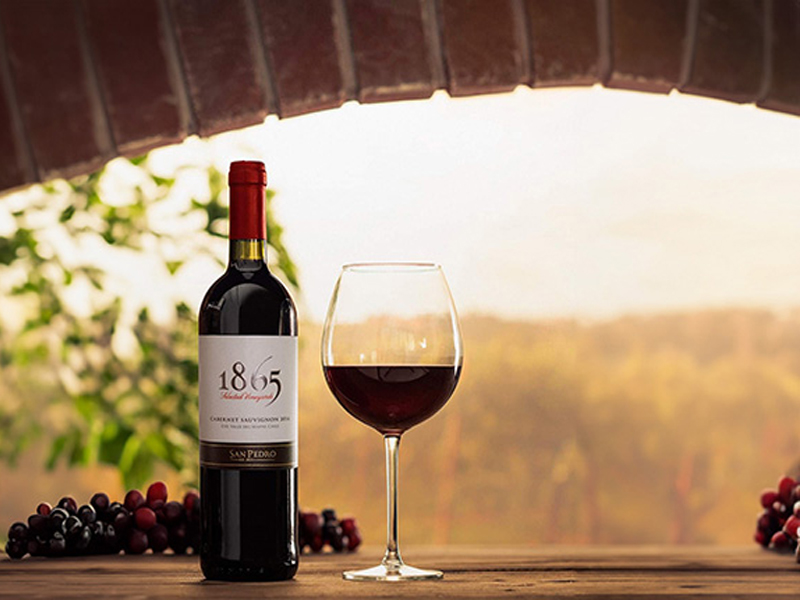 rượu vang đỏ chile 1865 cabernet sauvignon