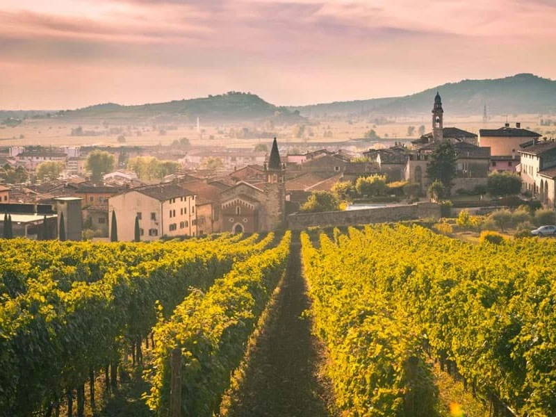 rượu vang đỏ ruffino 1877 chianti