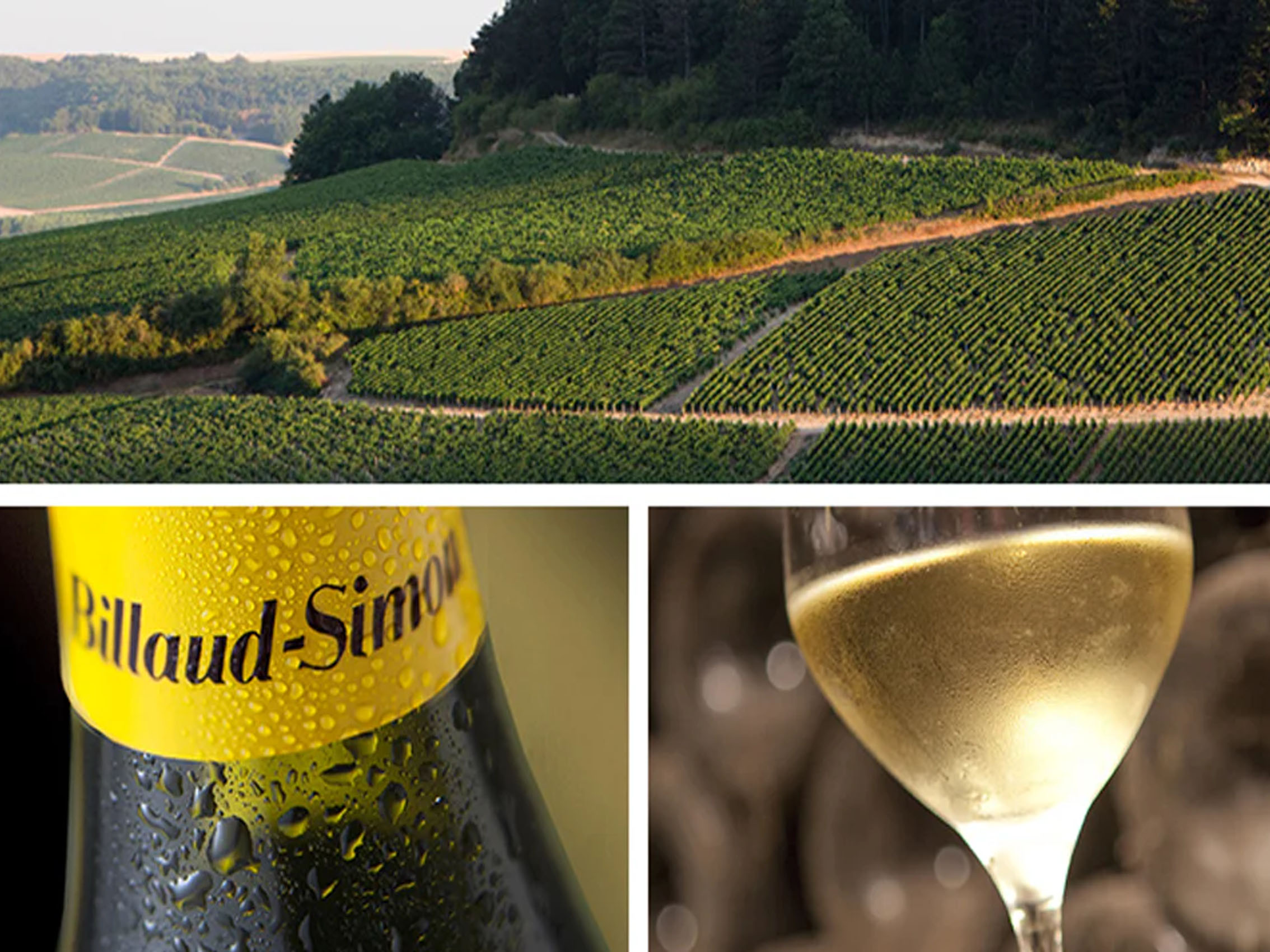 rượu vang domaine billaud-simon chablis 2018