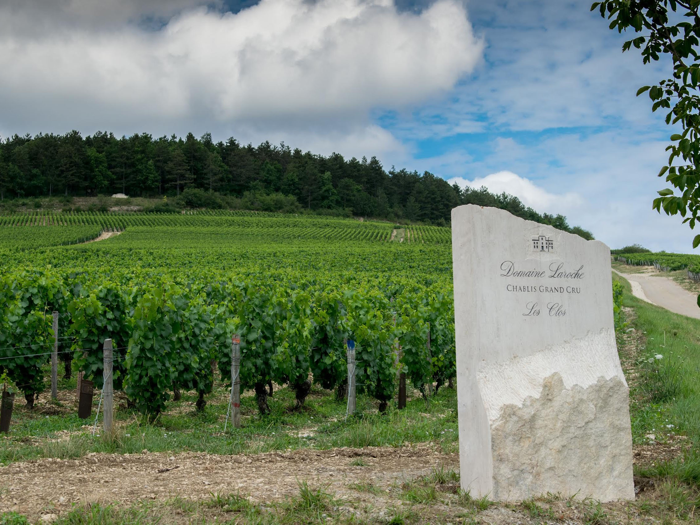 rượu vang domaine billaud-simon chablis premier cru les clos 2019