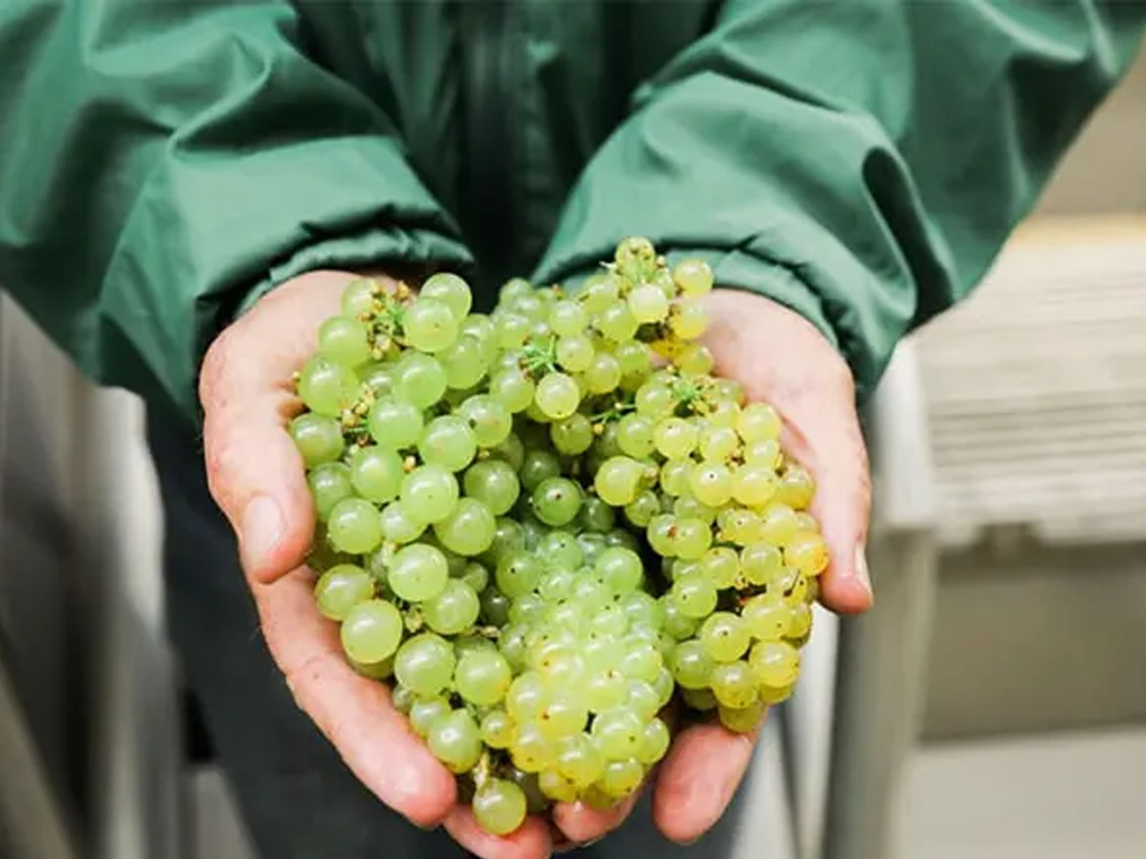 rượu vang domaine billaud-simon chablis premier cru les clos 2021