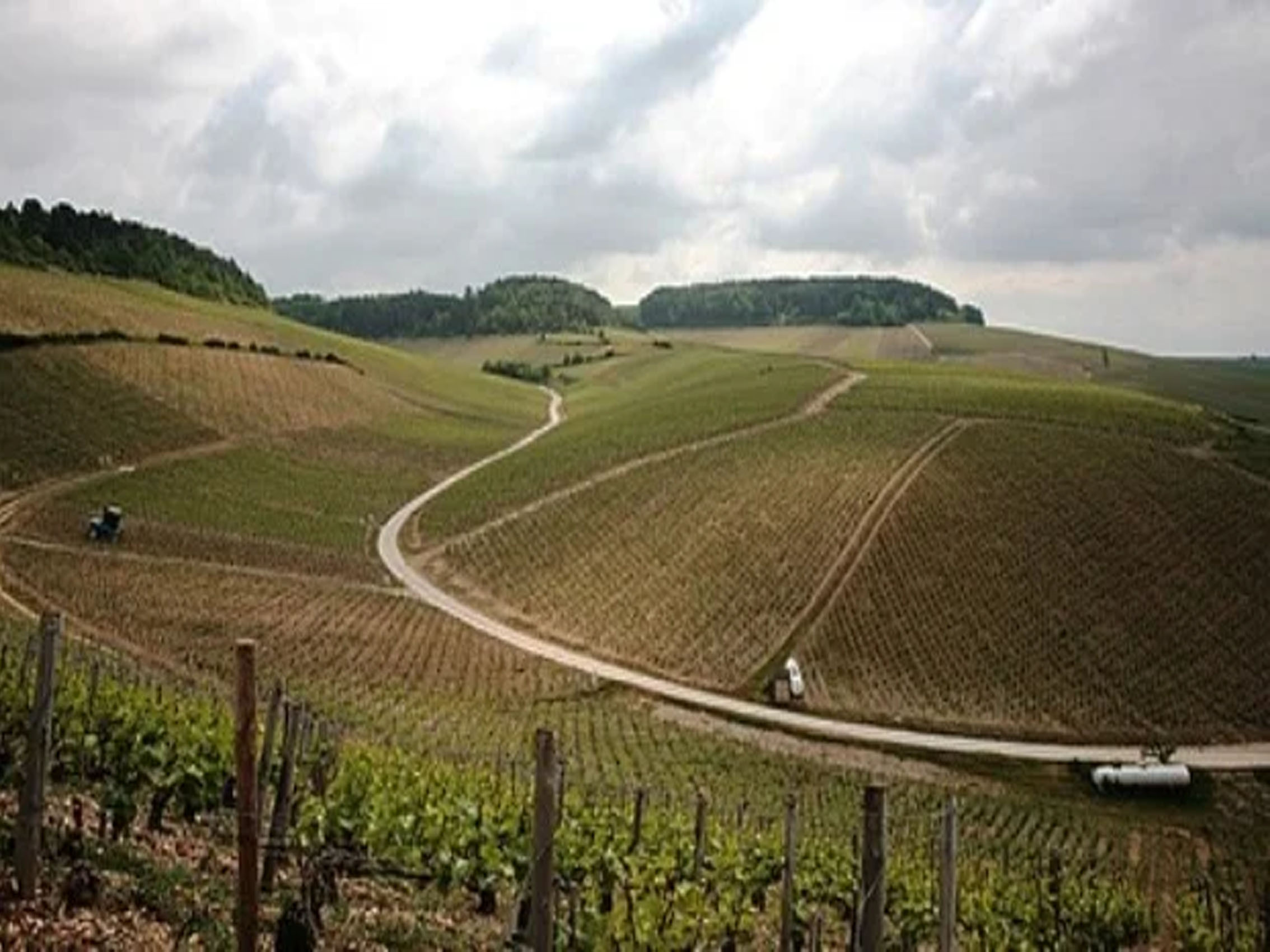 rượu vang domaine billaud-simon chablis premier cru les vaillons 2018