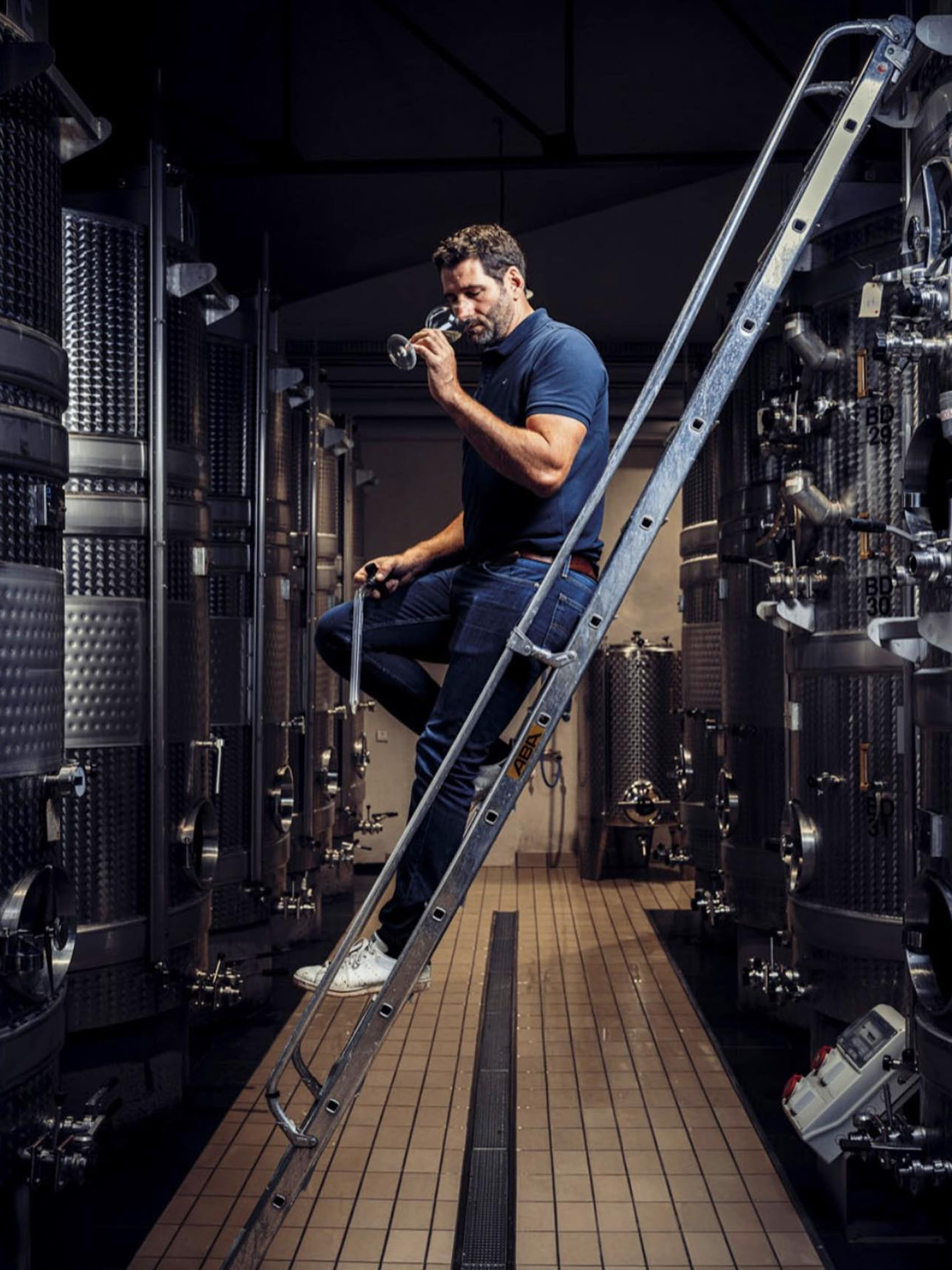 rượu vang domaine billaud-simon chablis premier cru les vaillons 2019