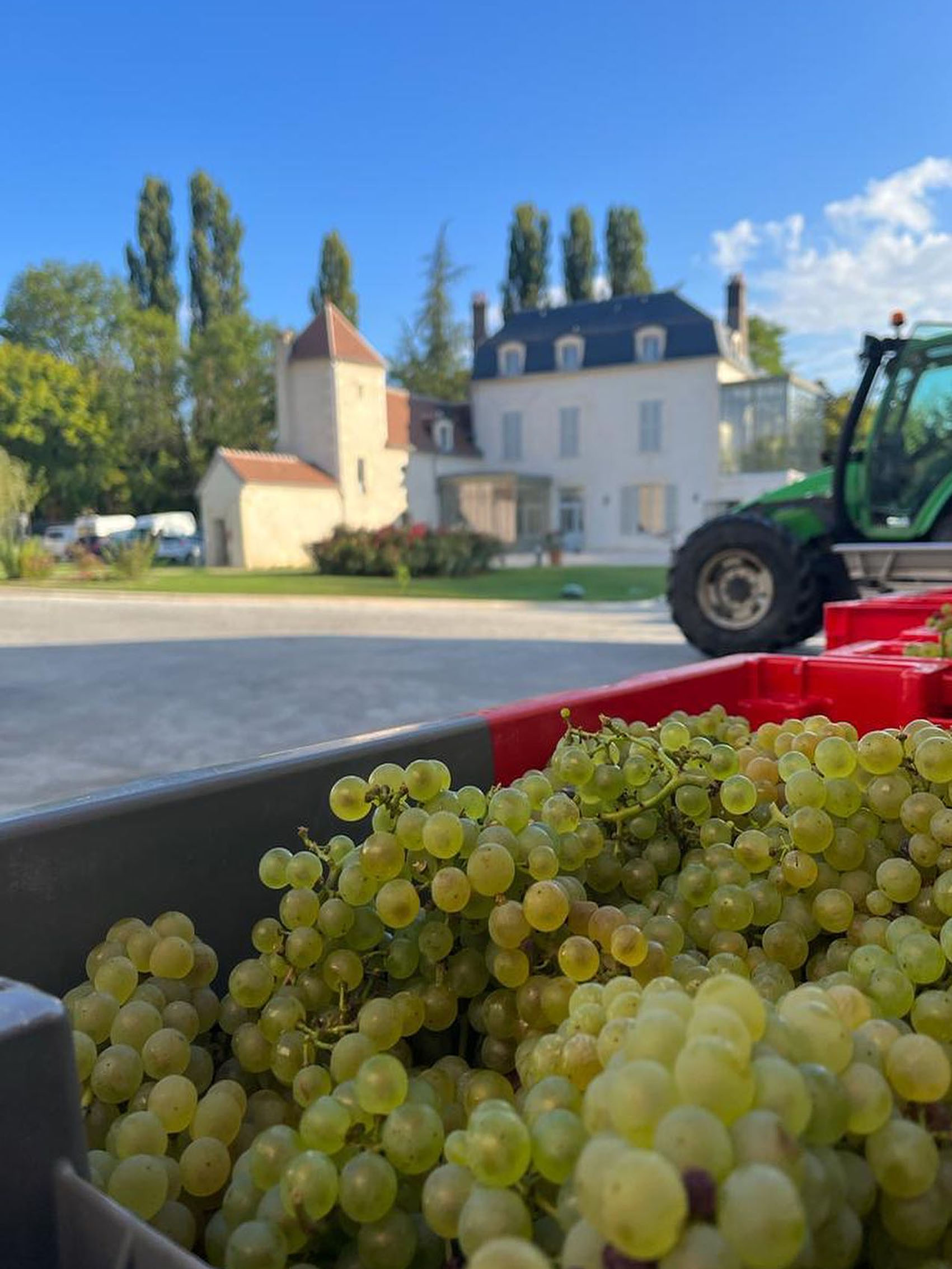 rượu vang domaine billaud-simon chablis premier cru les vaillons 2019