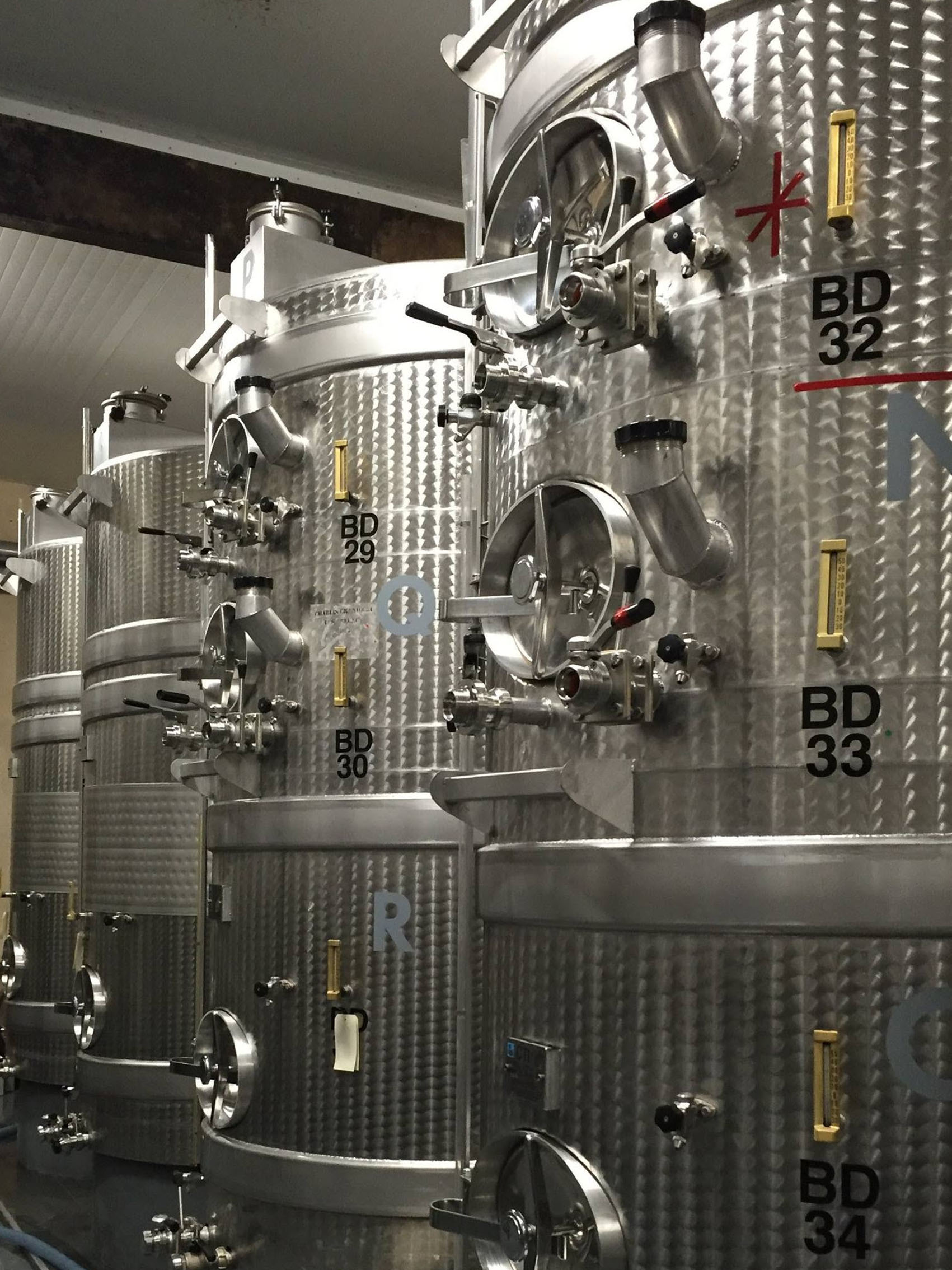 rượu vang domaine billaud-simon chablis premier cru les vaillons 2021