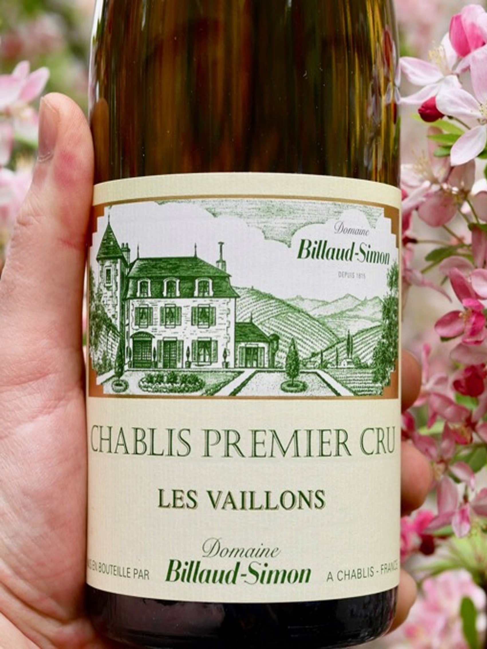 rượu vang domaine billaud-simon chablis premier cru les vaillons 2021