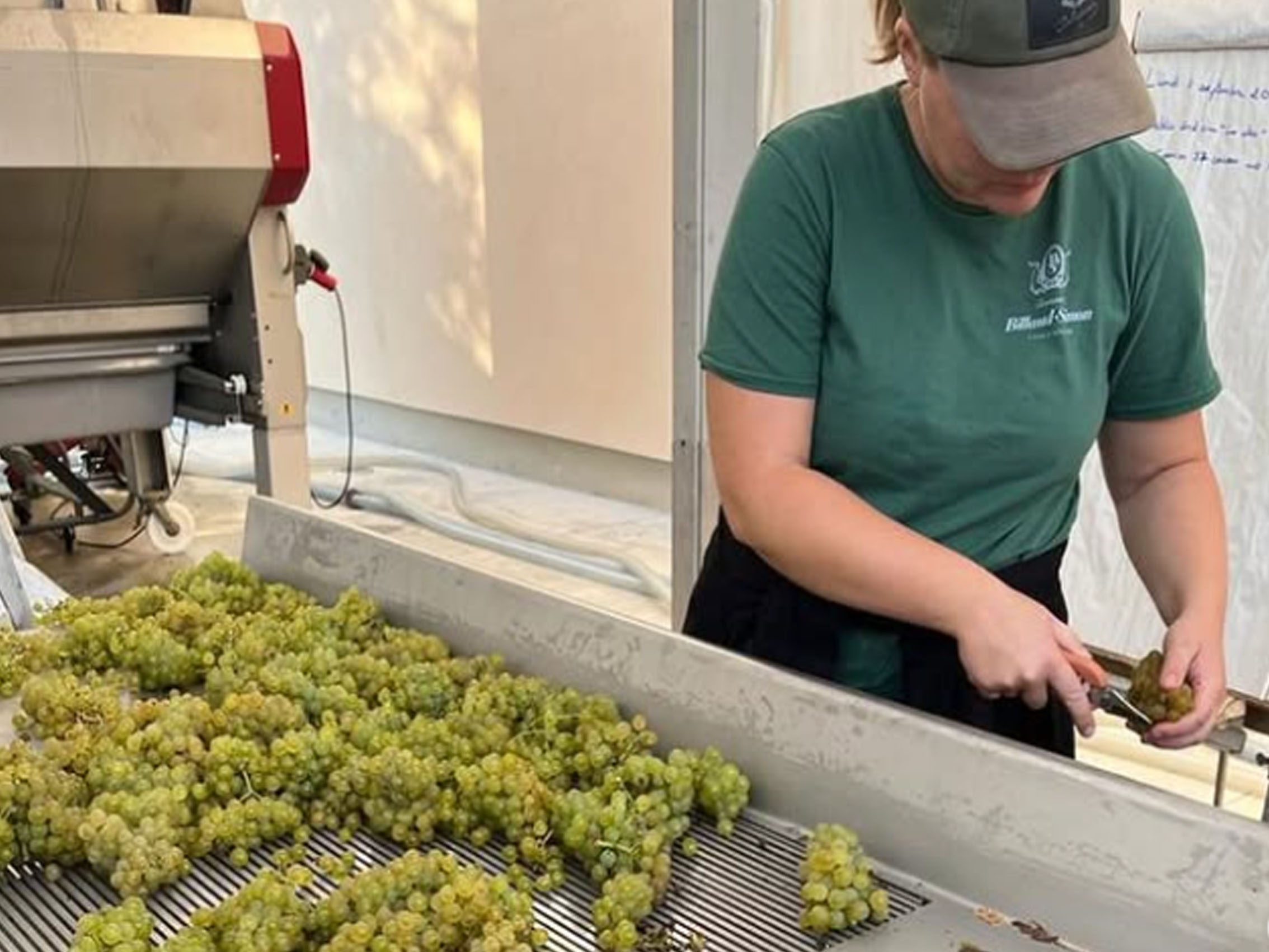 rượu vang domaine billaud-simon chablis premier cru monteé de tonnerre 2018