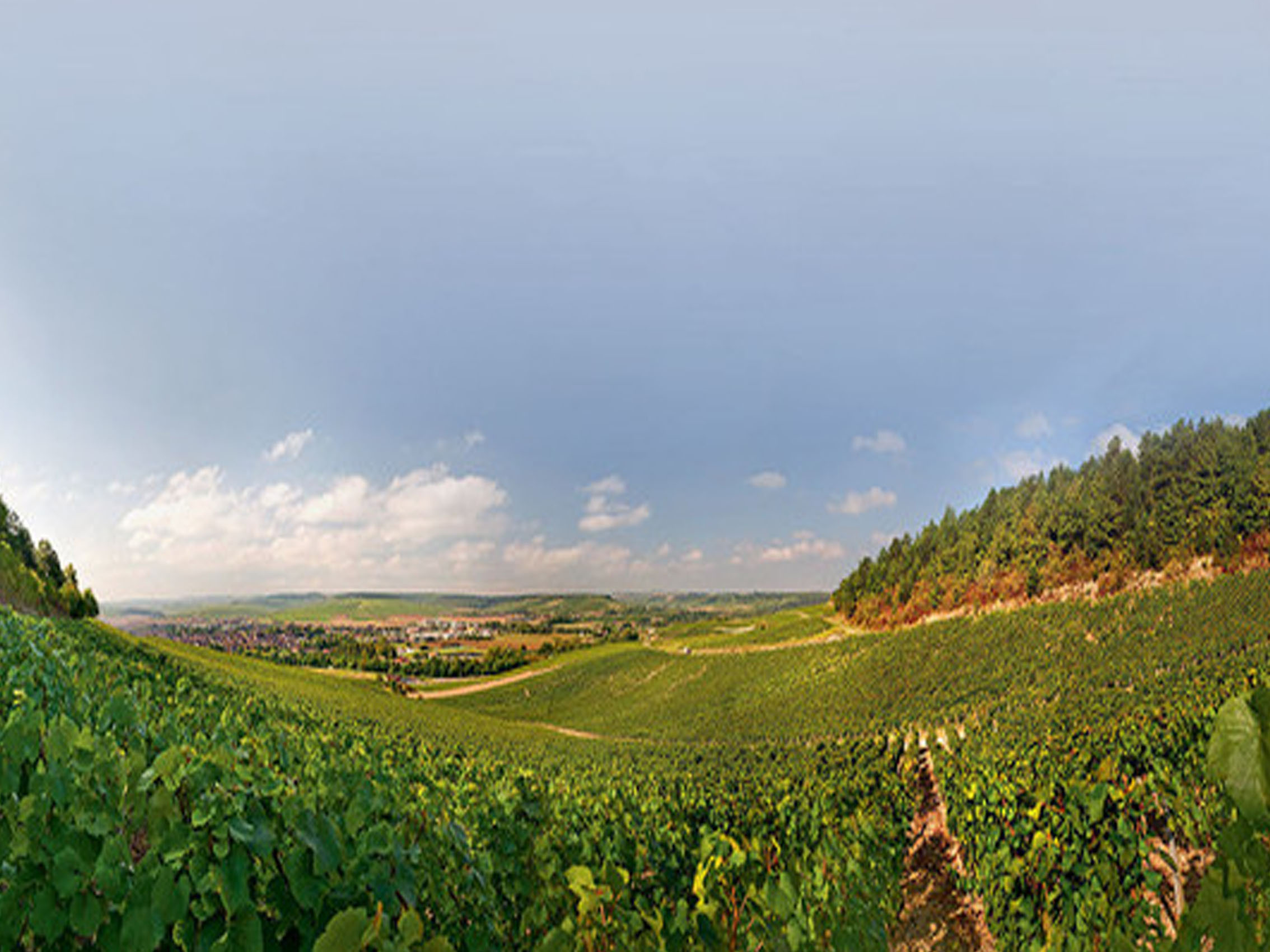 rượu vang domaine billaud-simon chablis premier cru monteé de tonnerre 2019