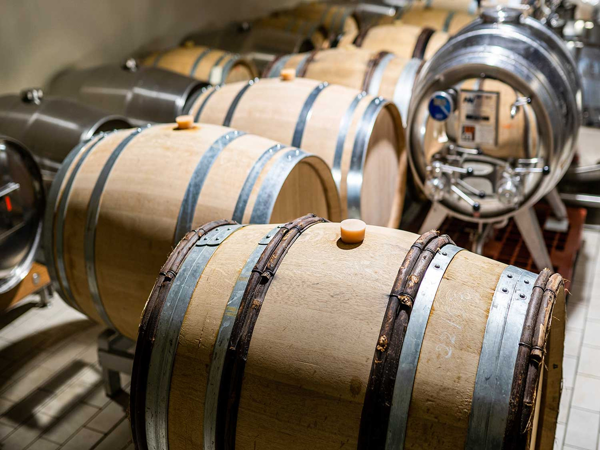 rượu vang domaine billaud-simon chablis premier cru monteé de tonnerre 2021