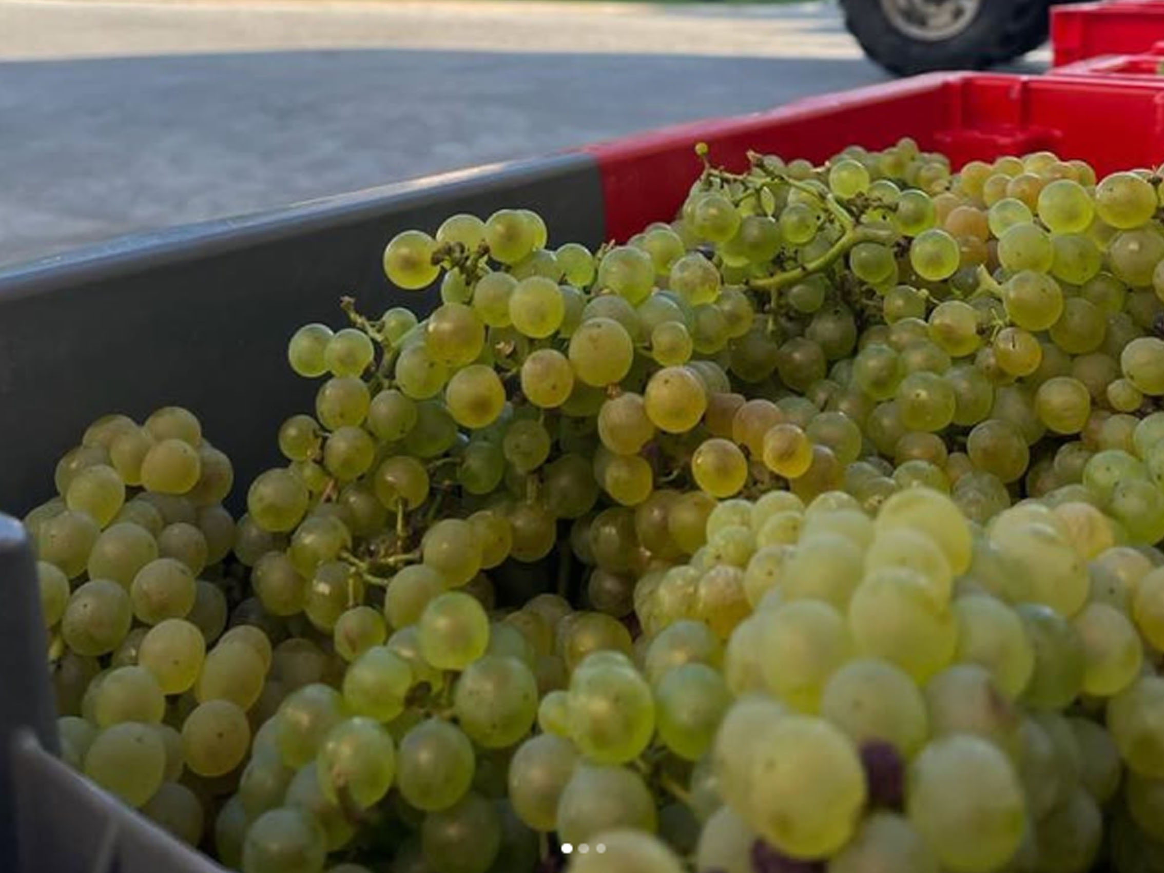 rượu vang domaine billaud-simon chablis premier cru monteé de tonnerre 2021