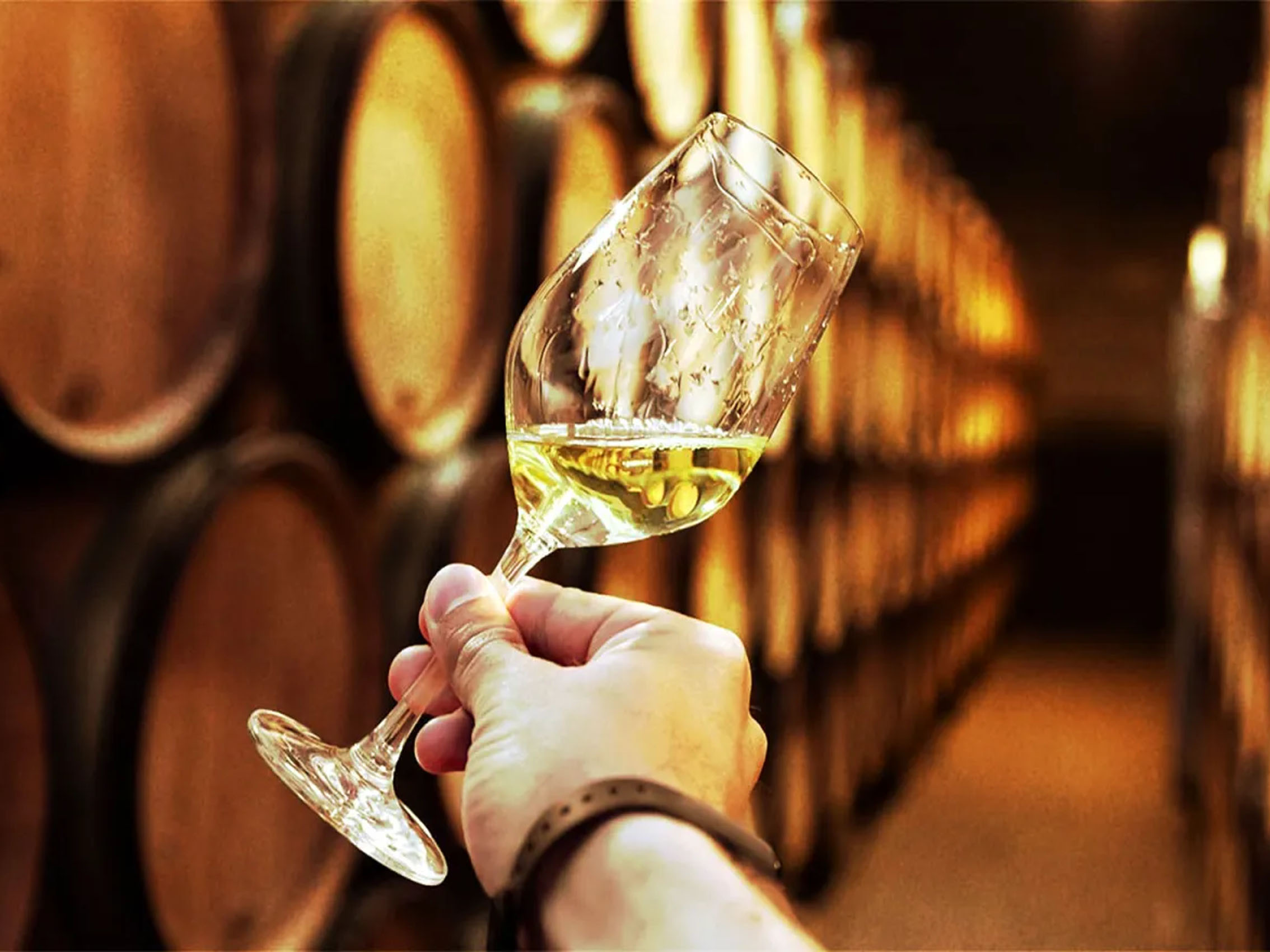 rượu vang domaine faiveley bâtard montrachet grand cru