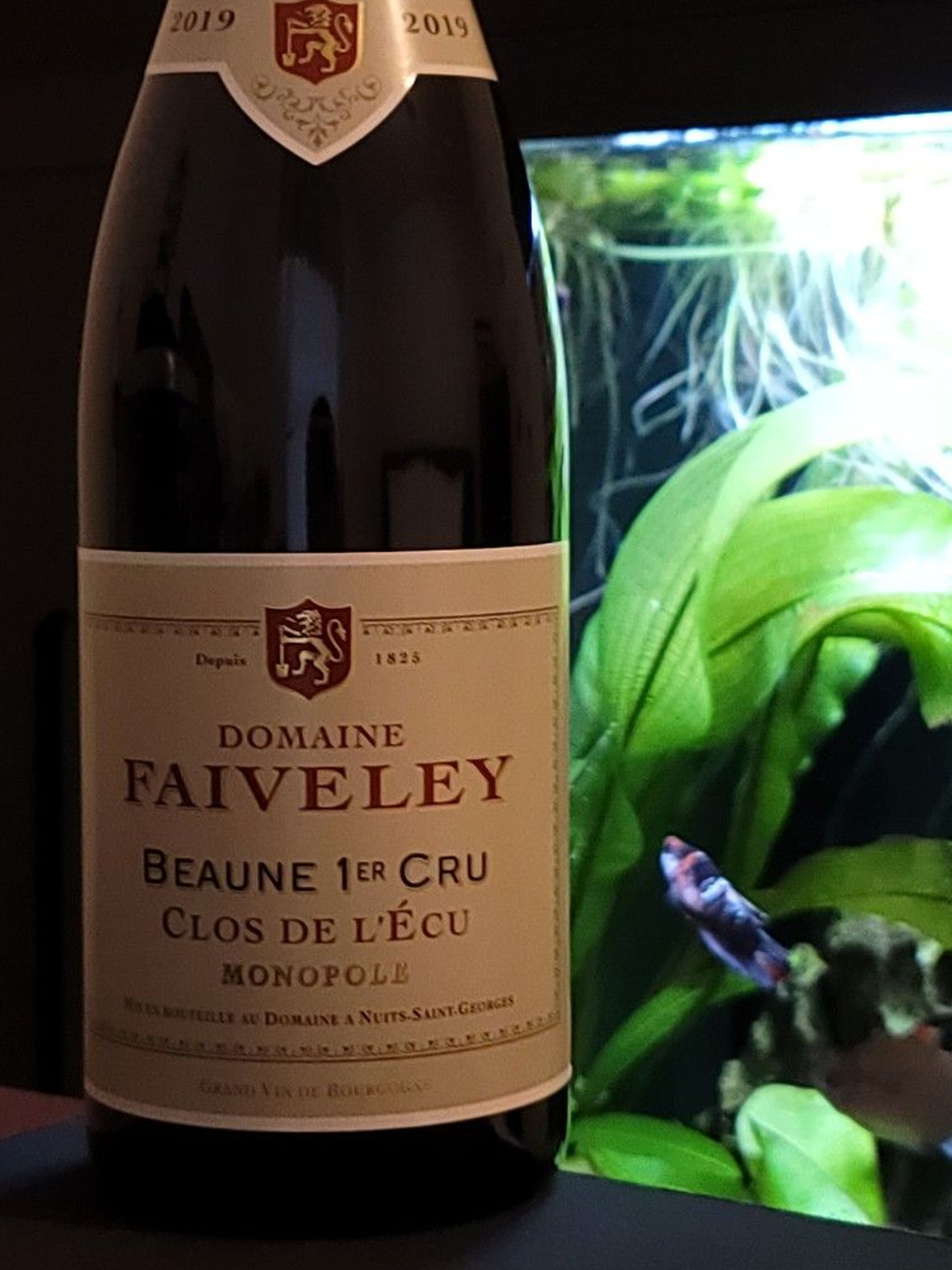 rượu vang domaine faiveley beaune 1er cru clos de l'ecu monopole