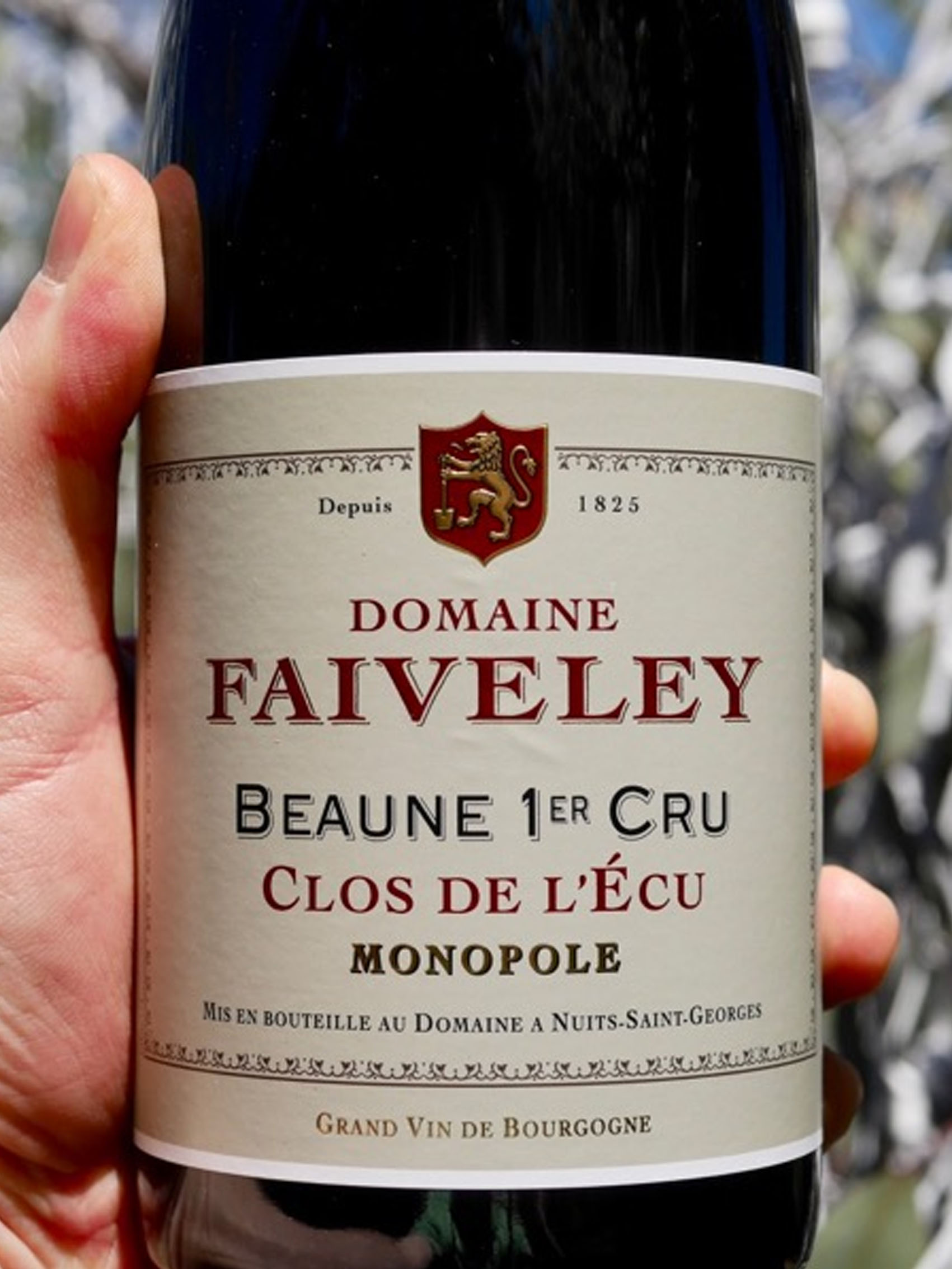 rượu vang domaine faiveley beaune 1er cru clos de l'ecu monopole