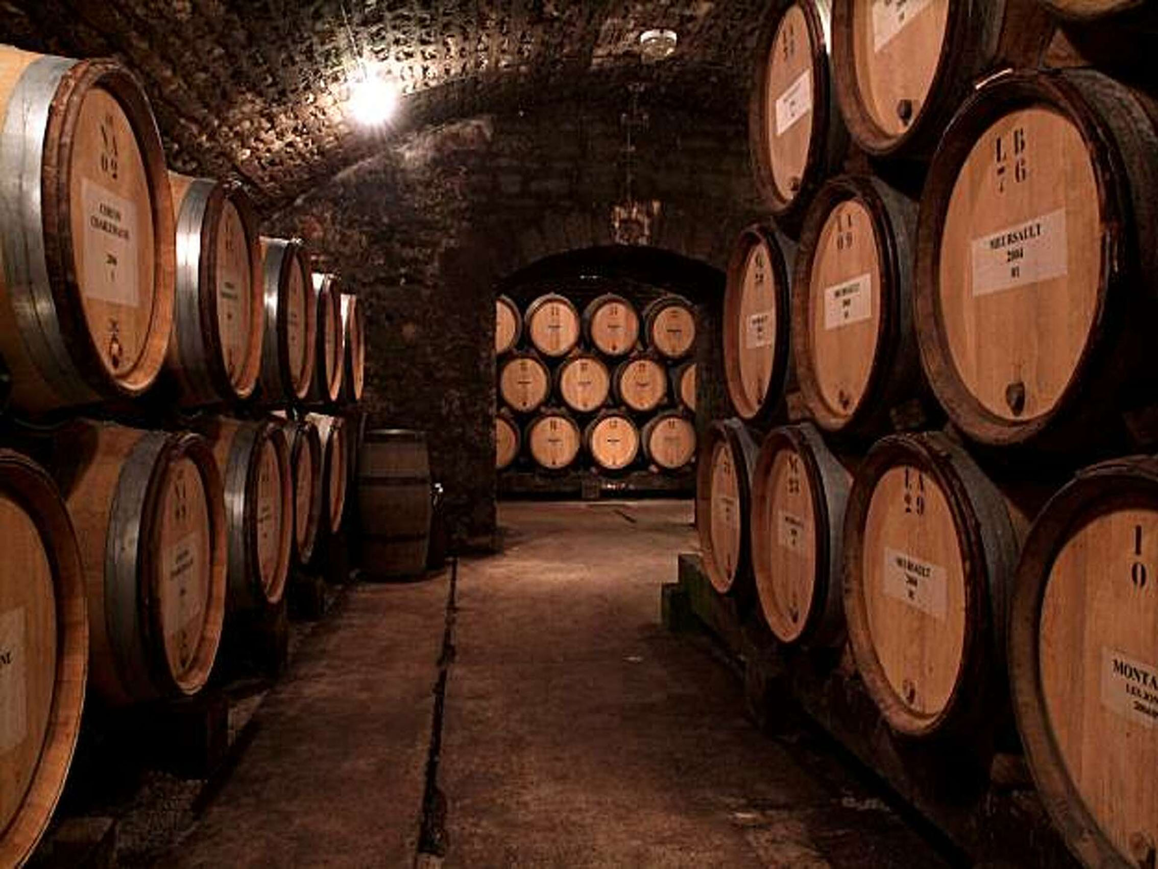 rượu vang domaine faiveley beaune 1er cru clos de l'ecu monopole