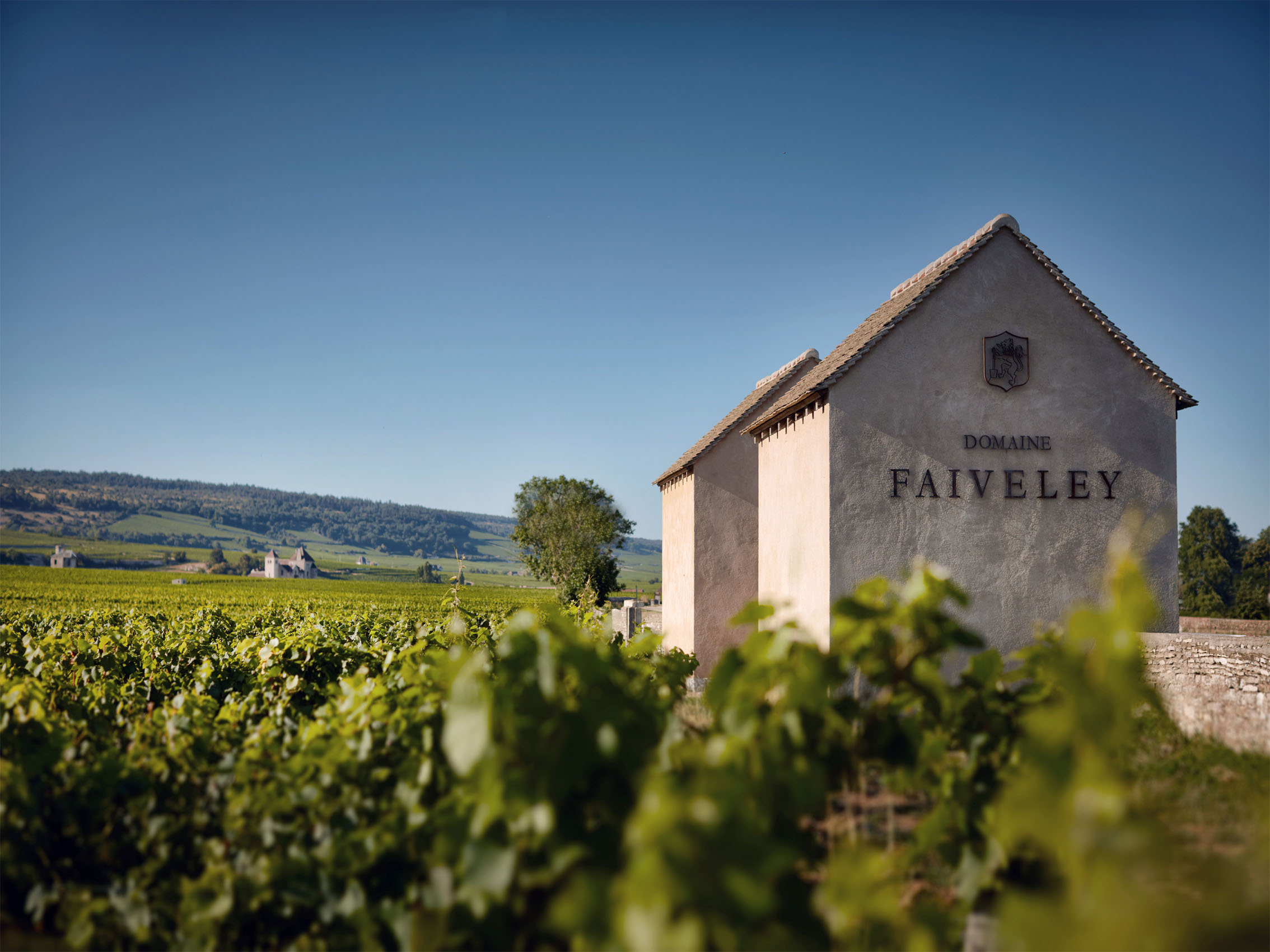 rượu vang domaine faiveley beaune 1er cru clos de l'ecu monopole