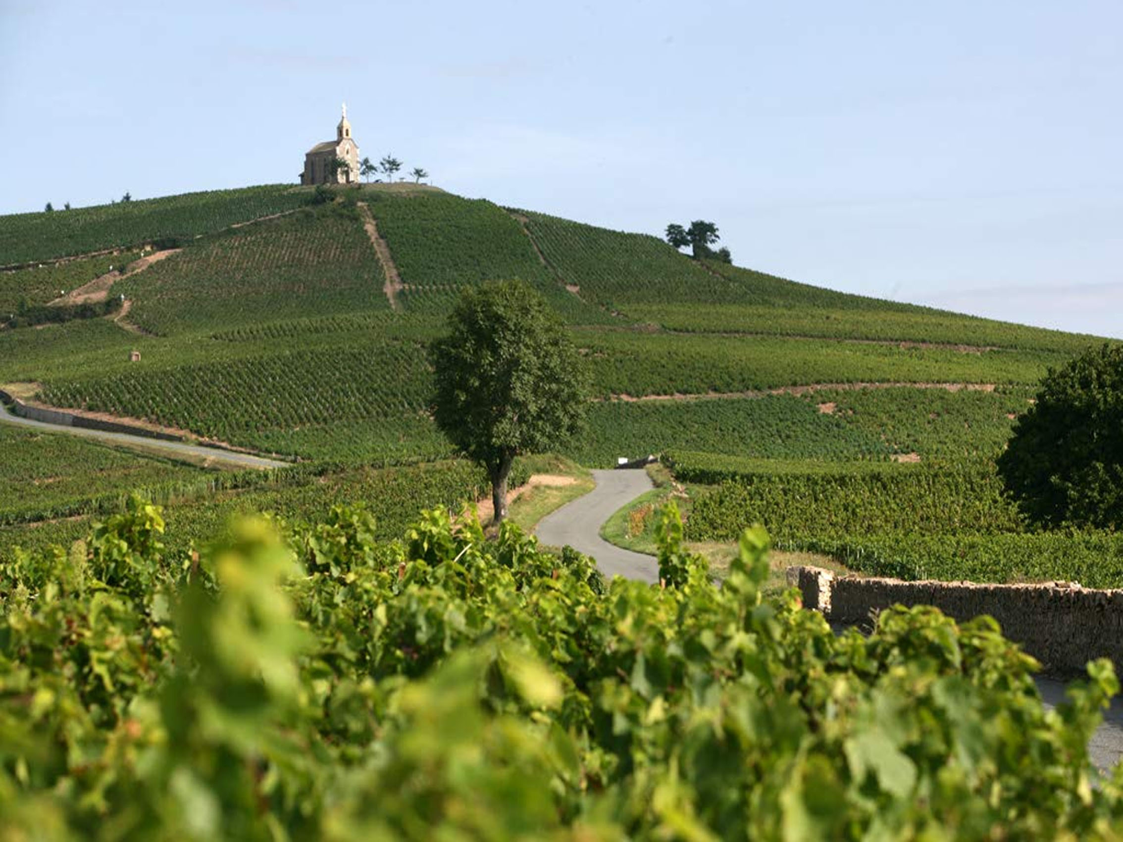 rượu vang domaine faiveley chambertin-clos de bèze grand cru 2003