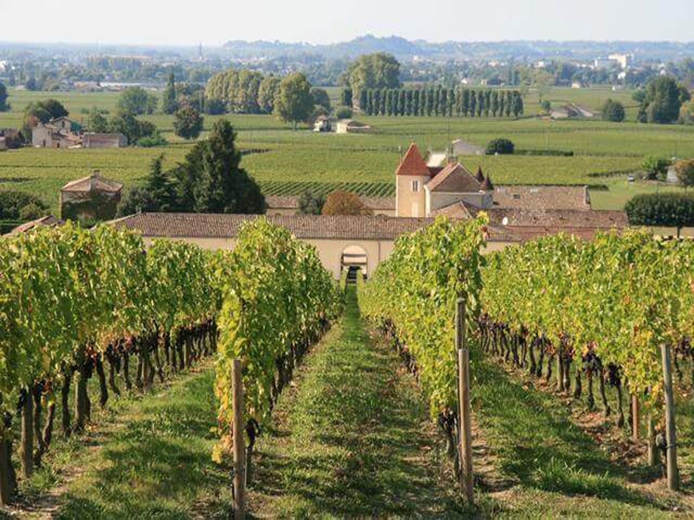 rượu vang domaine faiveley chambertin-clos de bèze grand cru 2017