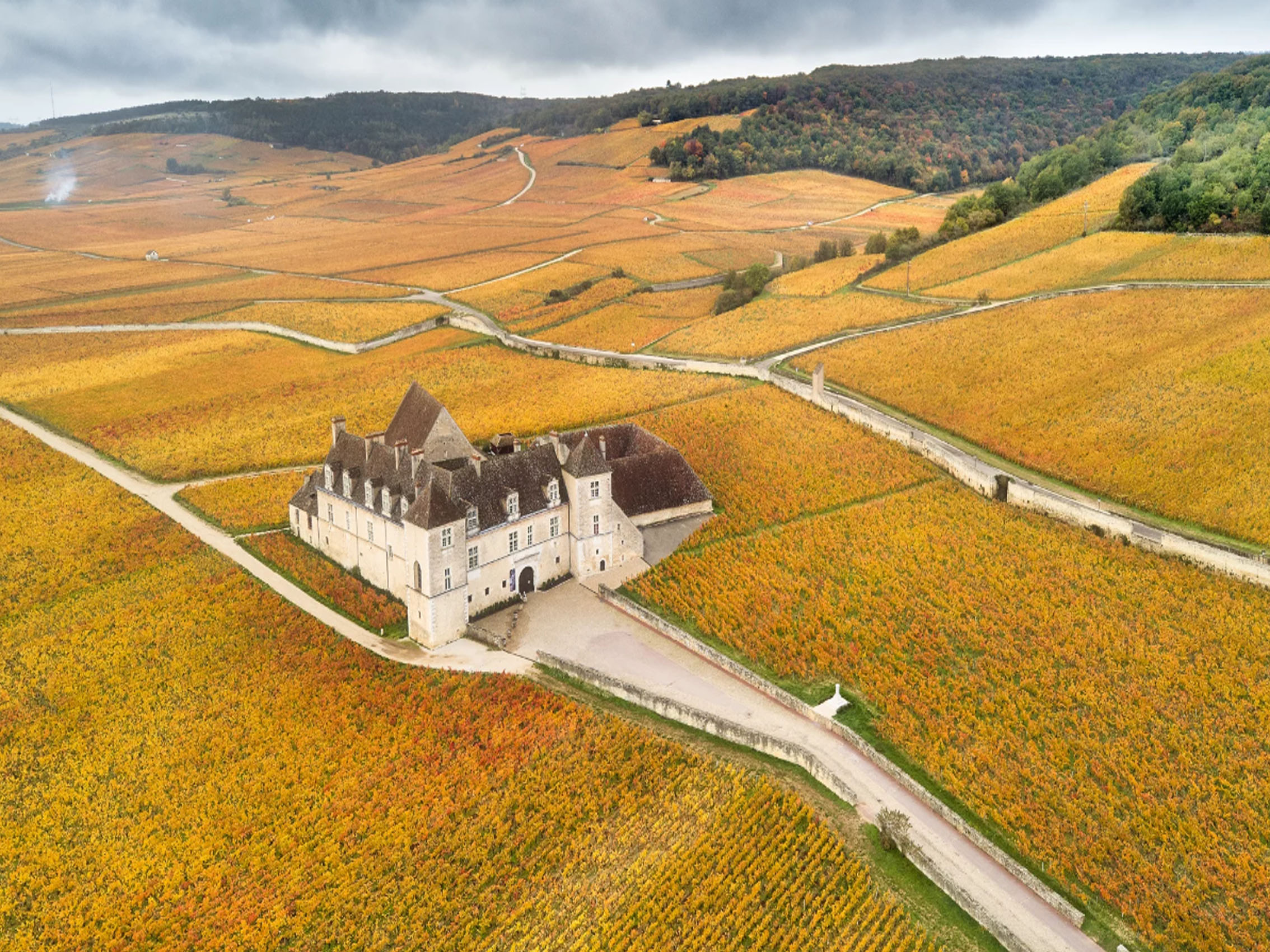 rượu vang domaine faiveley clos-de-vougeot grand cru 2009