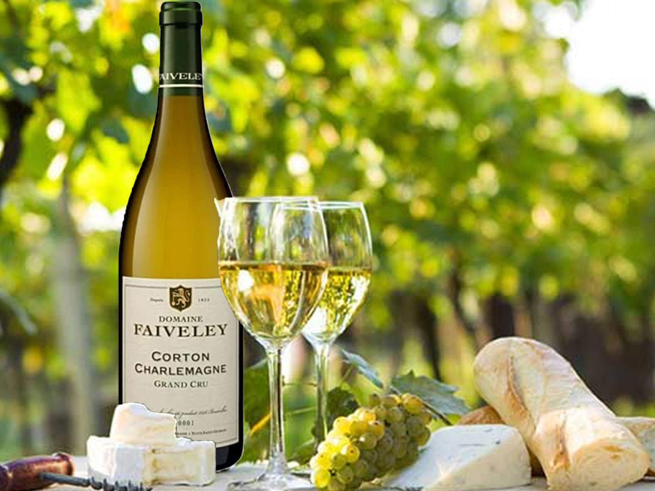 rượu vang domaine faiveley corton-charlemagne grand cru 2016