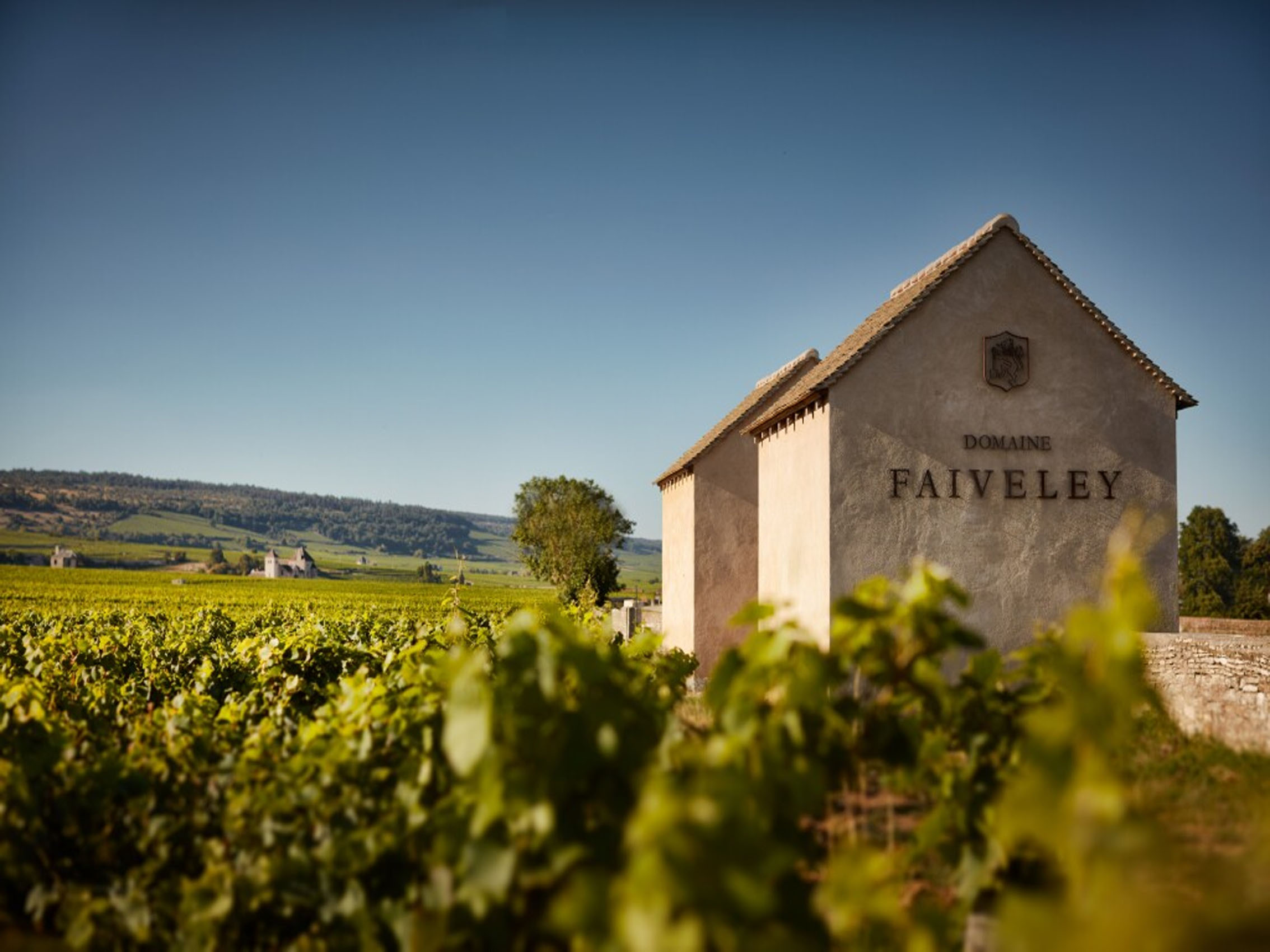 rượu vang domaine faiveley corton-charlemagne grand cru 2018