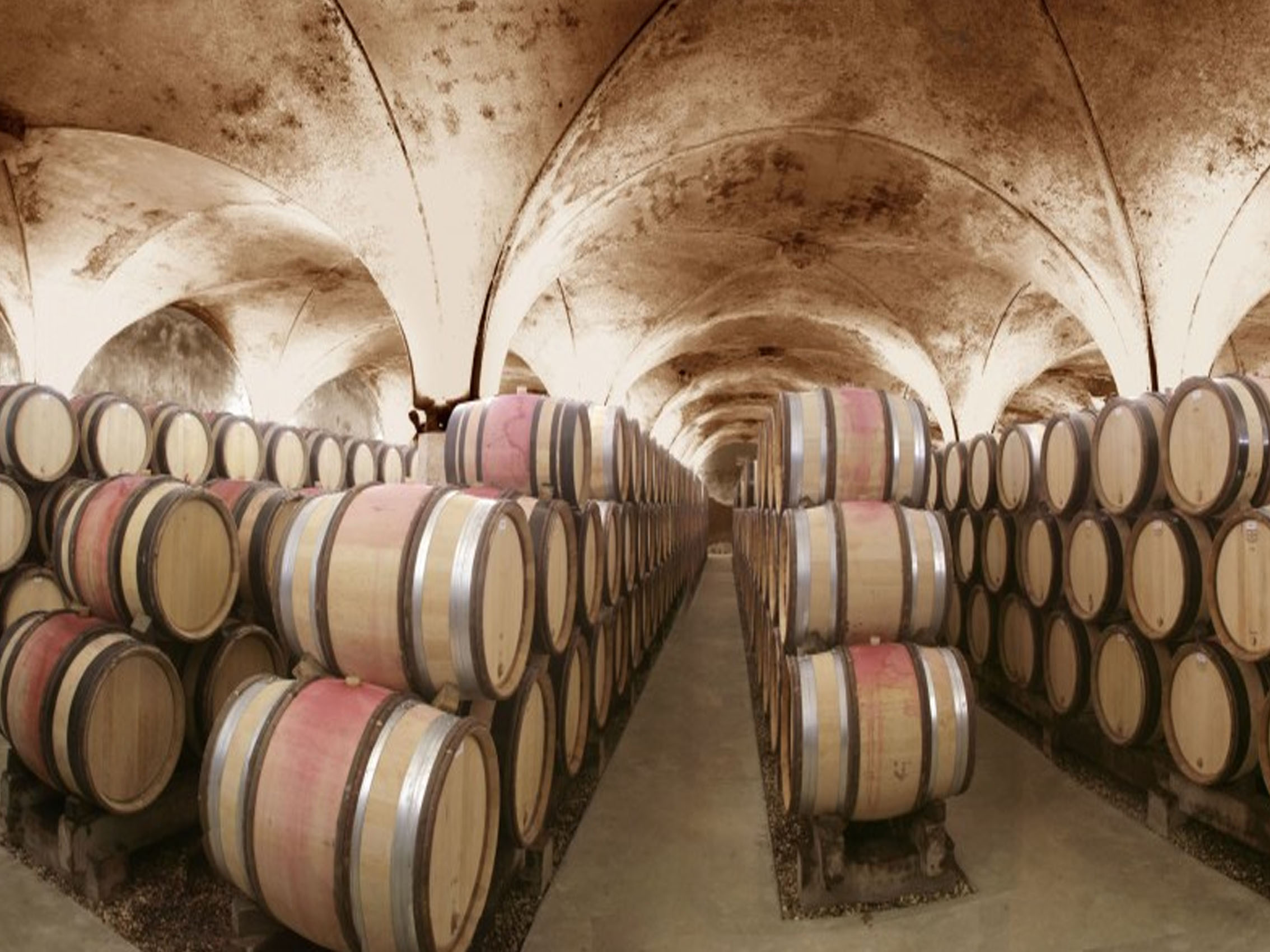 rượu vang domaine faiveley corton-charlemagne grand cru 2021