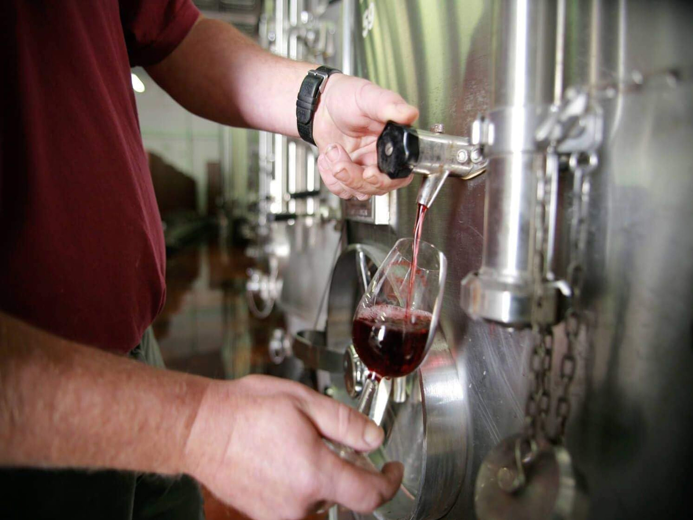 rượu vang domaine faiveley corton clos des cortons faiveley grand cru monopole 2014