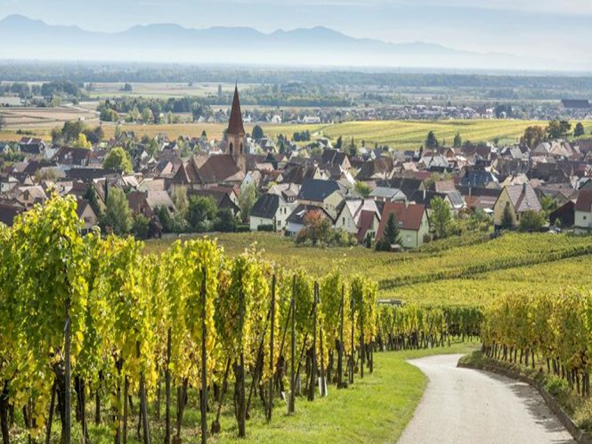 rượu vang domaine faiveley corton clos des cortons faiveley grand cru monopole 2016