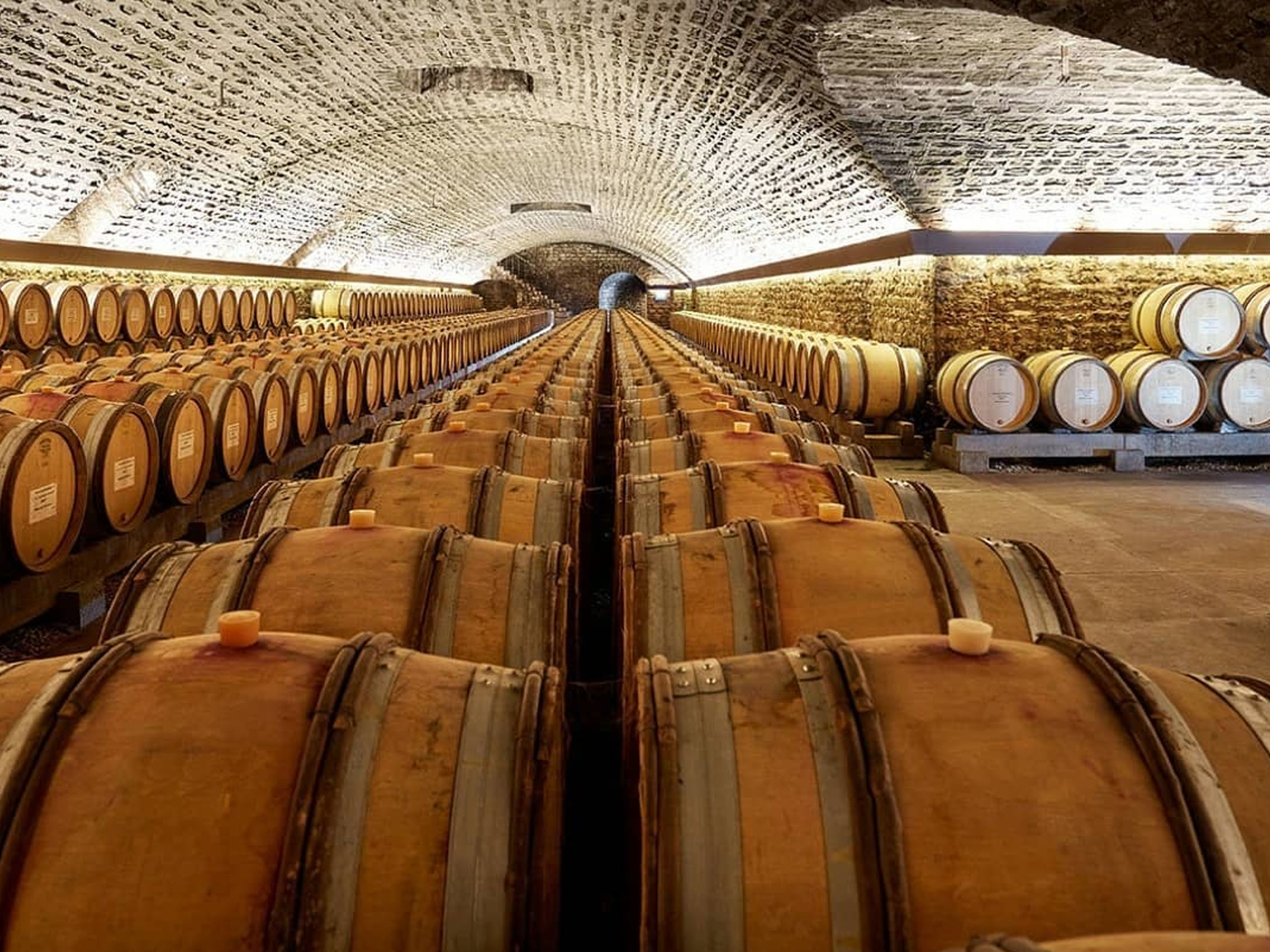 rượu vang domaine faiveley gevrey chambertin premier cru clos des issarts monopole