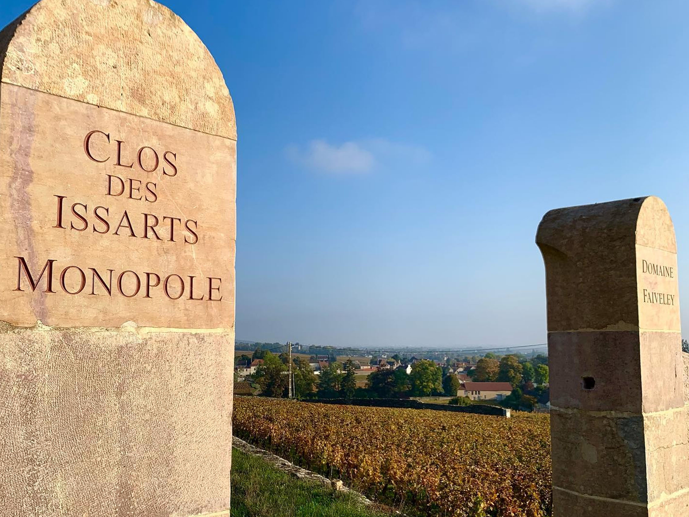 rượu vang domaine faiveley gevrey chambertin premier cru clos des issarts monopole