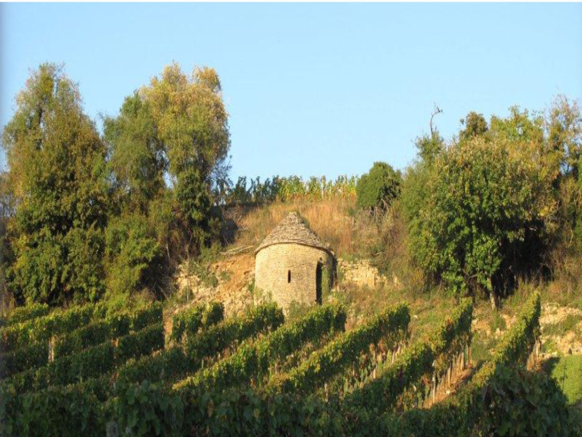 rượu vang domaine faiveley gevrey chambertin premier cru la combe aux moines