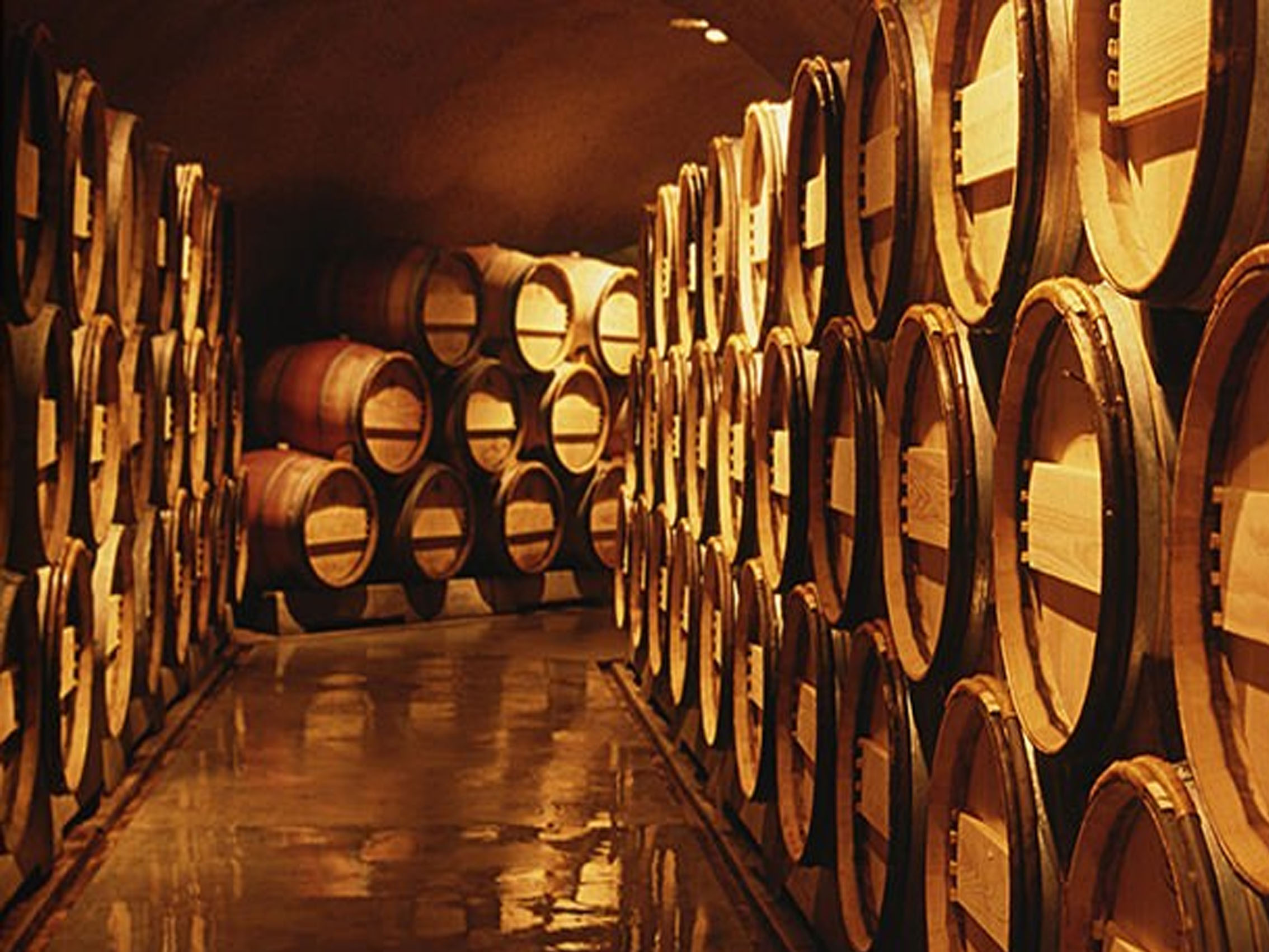 rượu vang domaine faiveley gevrey chambertin premier cru les cazetiers