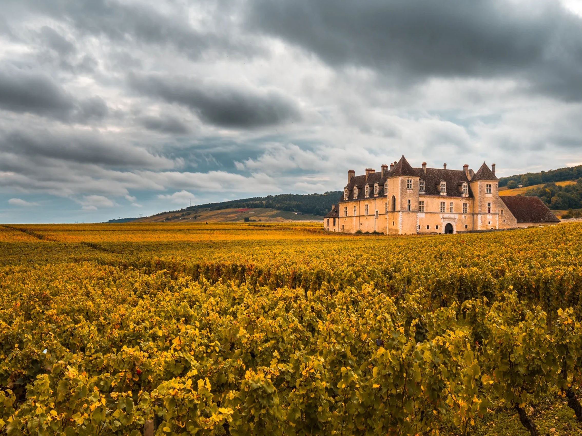 rượu vang domaine faiveley gevrey chambertin premier cru les cazetiers 2013