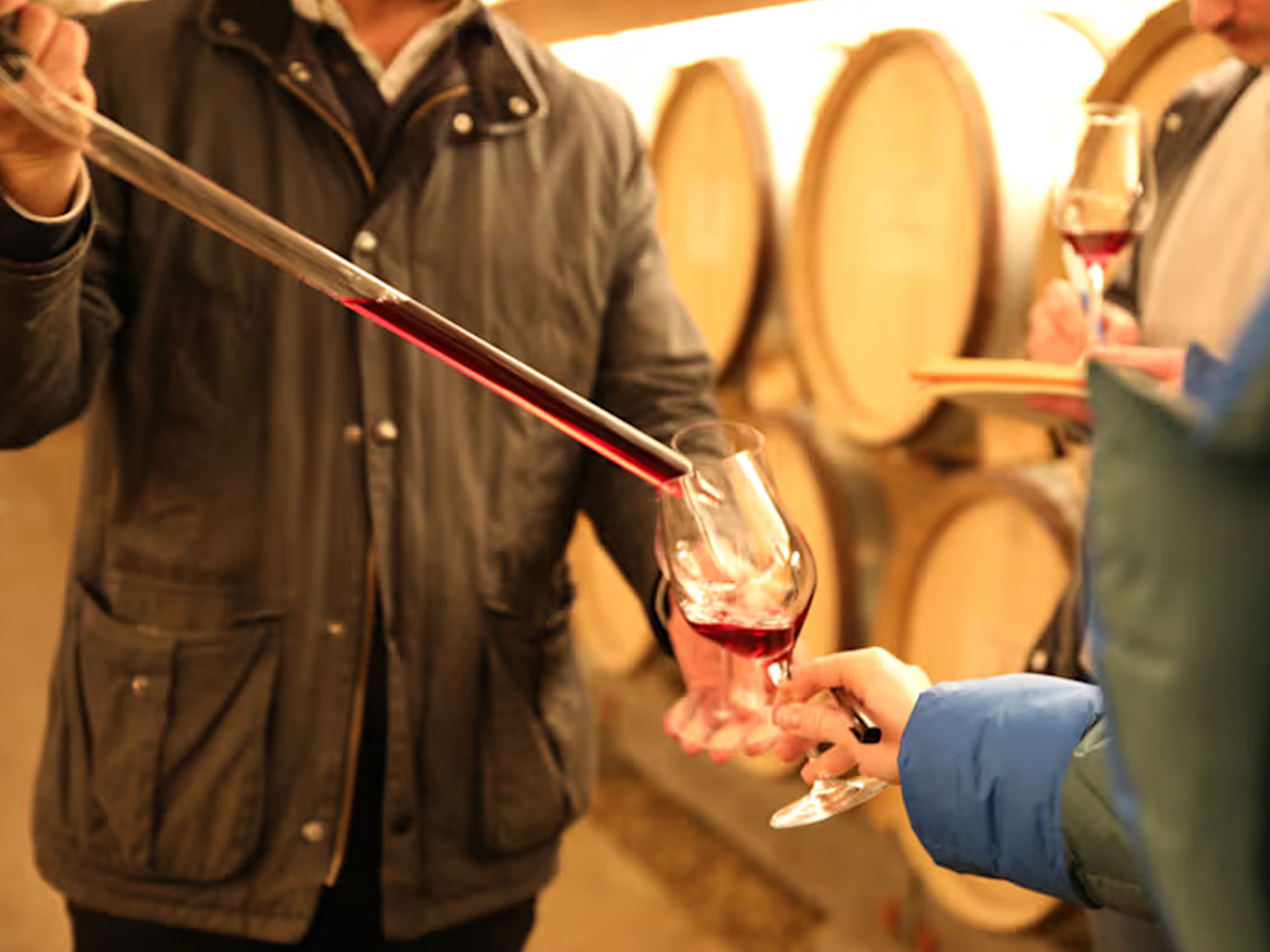 rượu vang domaine faiveley gevrey chambertin premier cru petite chapelle