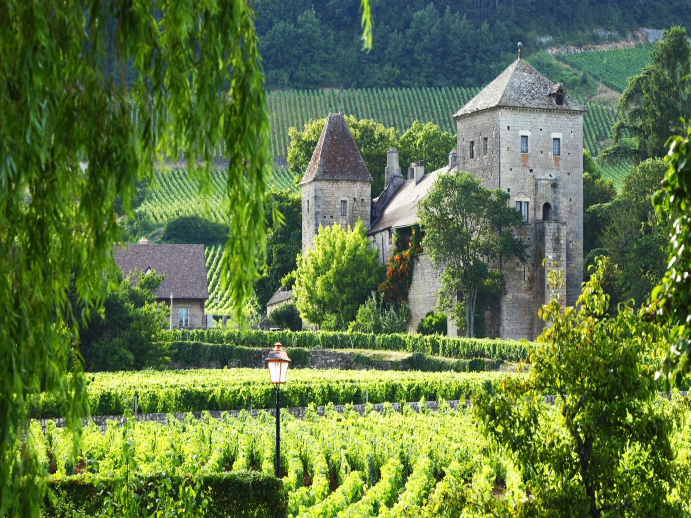 rượu vang domaine faiveley gevrey chambertin premier cru petite chapelle