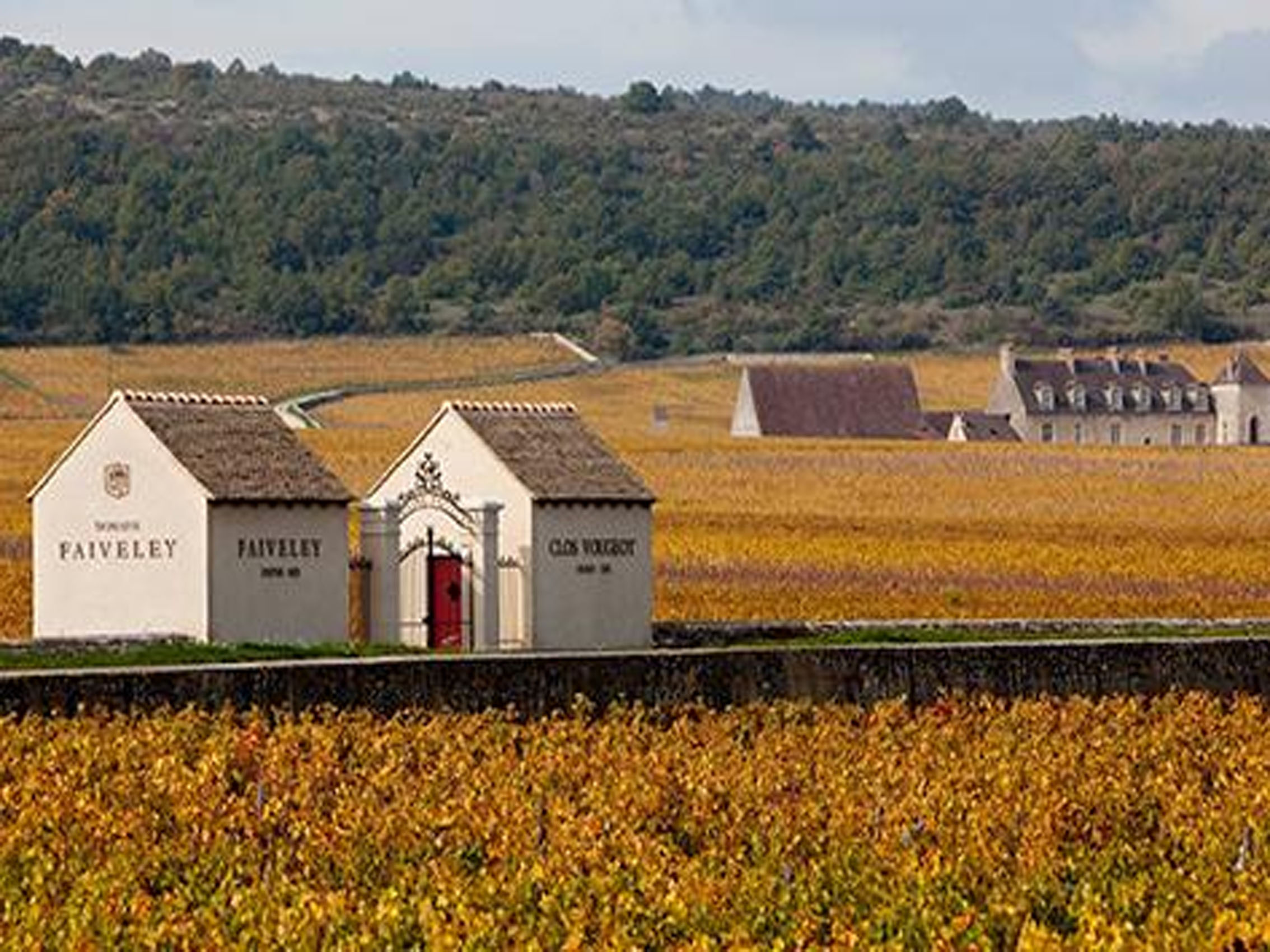 rượu vang domaine faiveley gevrey - chambertin vieilles vignes 2019