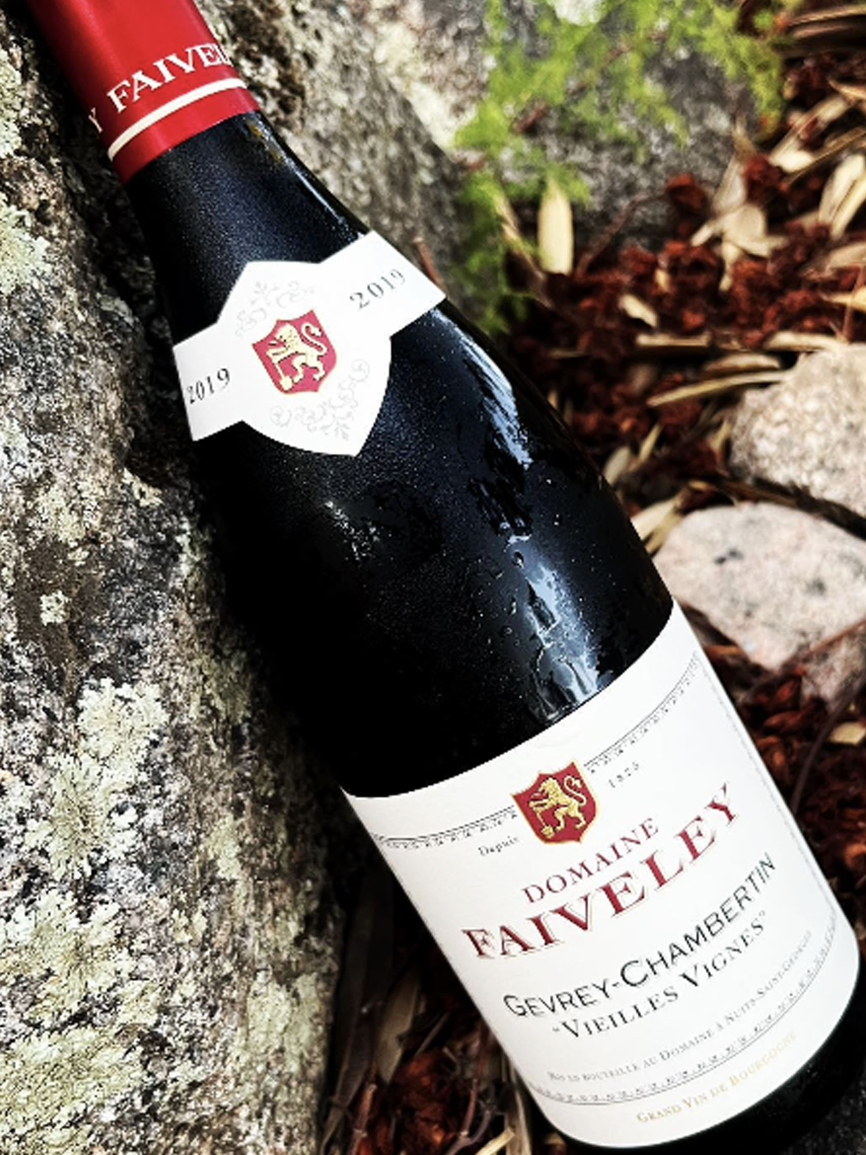 rượu vang domaine faiveley gevrey - chambertin vieilles vignes 2019