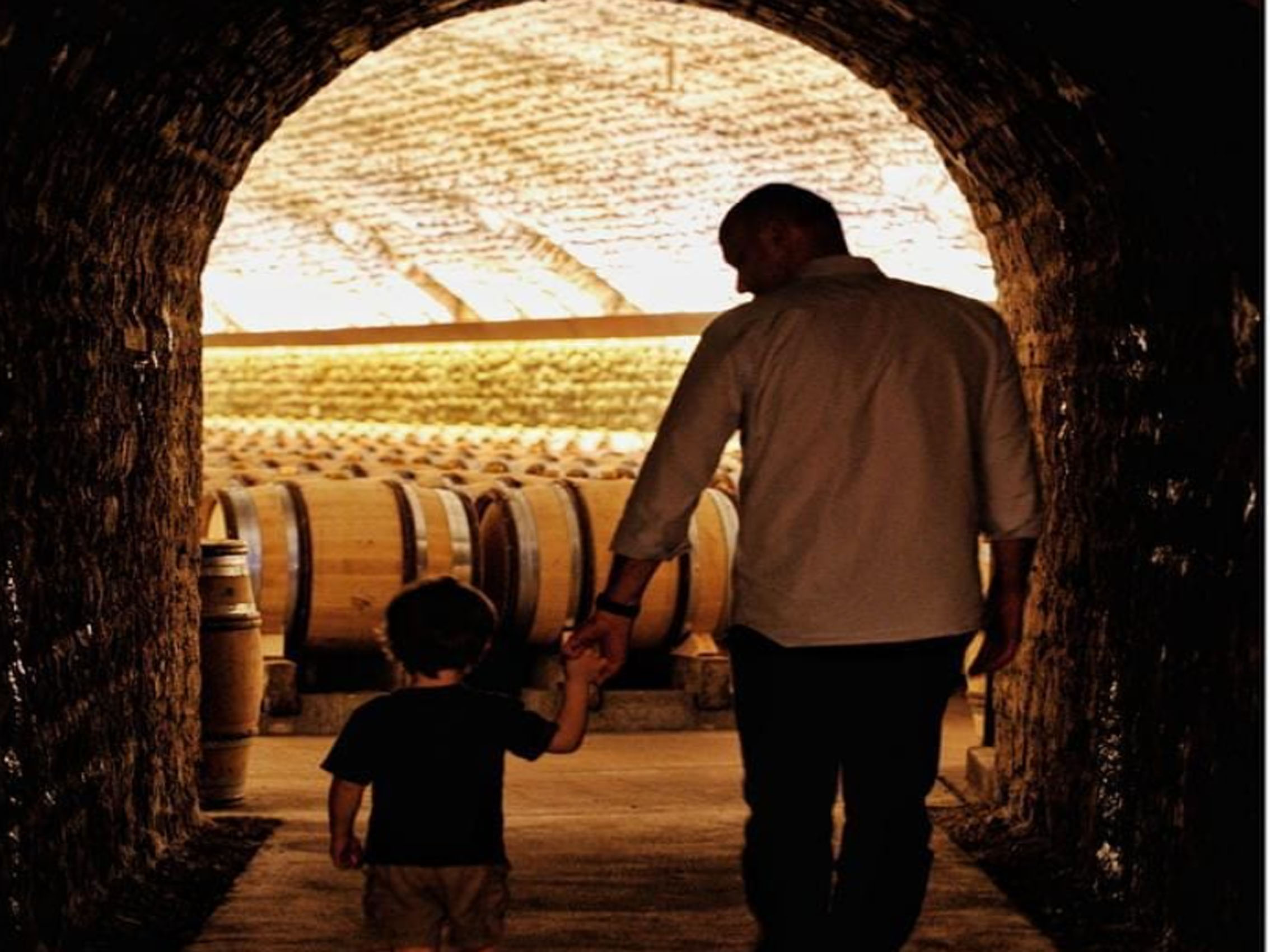 rượu vang domaine faiveley ladoix les marnes blanches