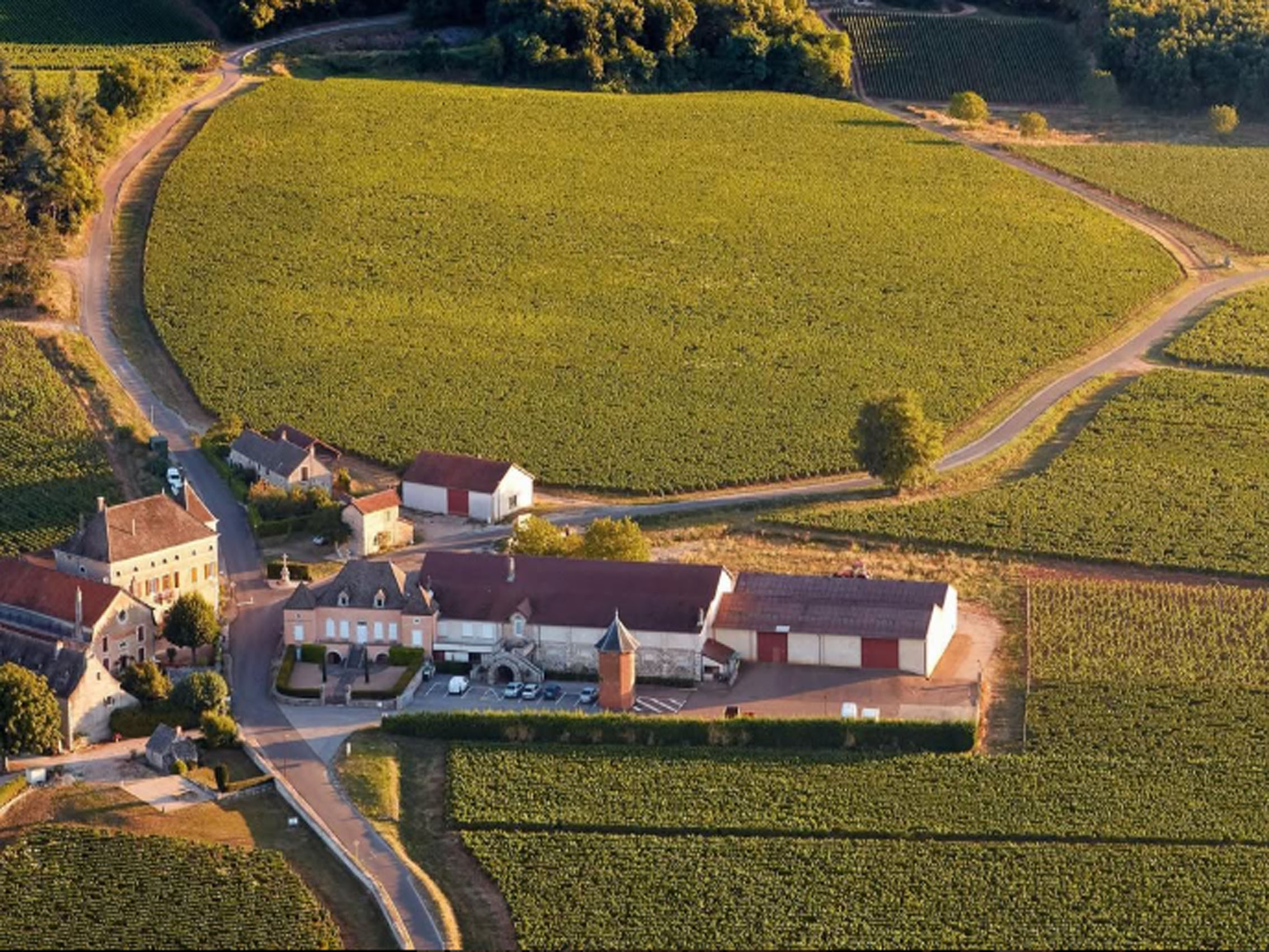 rượu vang domaine faiveley ladoix les marnes blanches