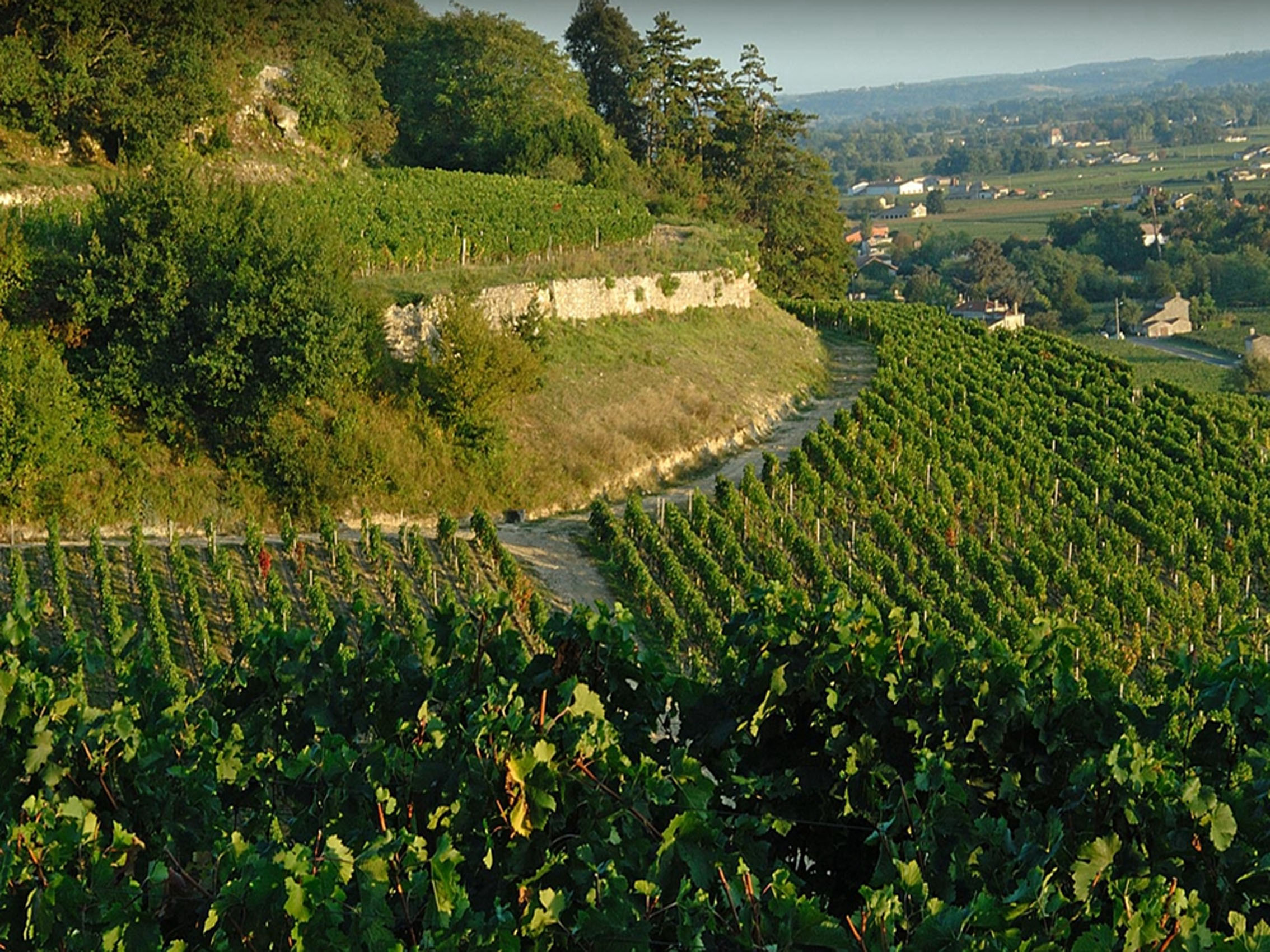 rượu vang domaine faiveley latricières-chambertin grand cru 1999