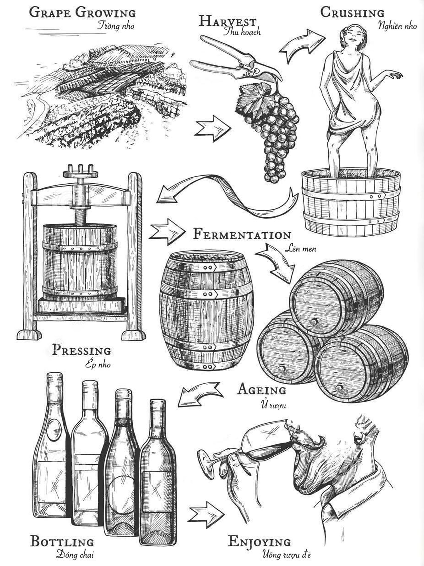 rượu vang domaine faiveley latricières-chambertin grand cru 2003