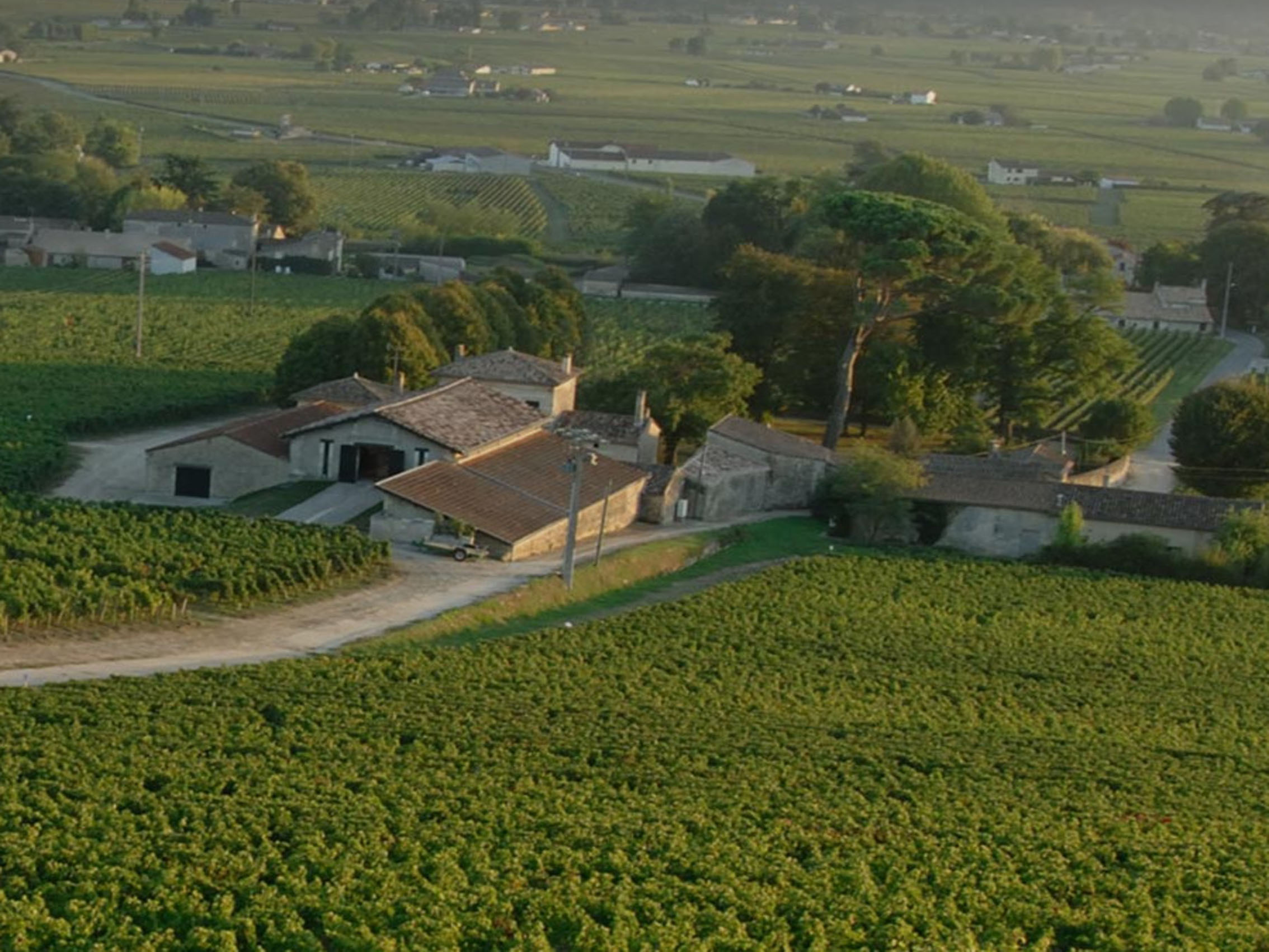 rượu vang domaine faiveley latricières-chambertin grand cru 2003