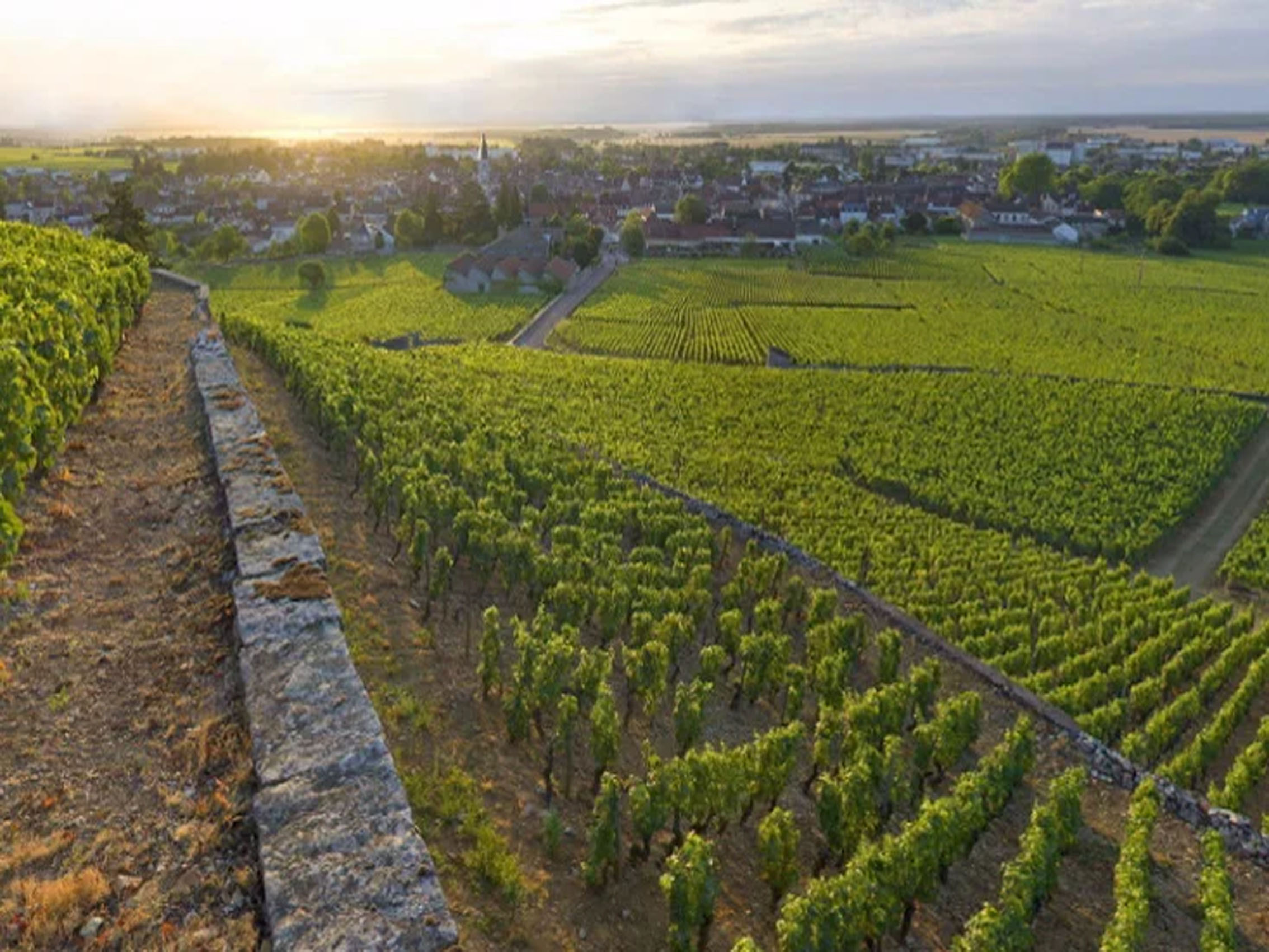 rượu vang domaine faiveley les saint georges nuits saint georges premier cru