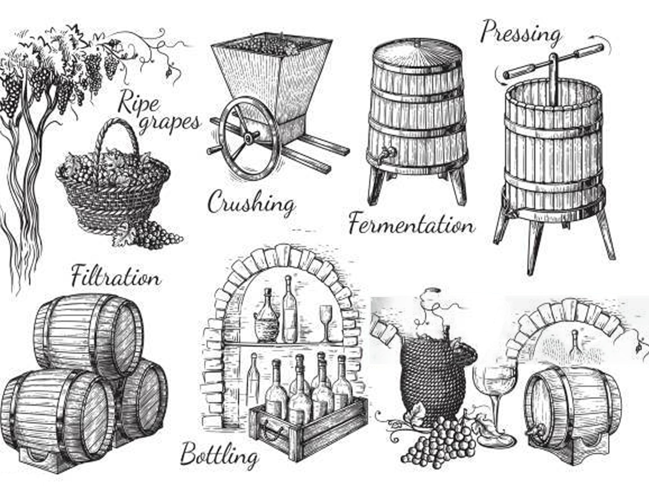 rượu vang domaine faiveley mazis-chambertin grand cru 2003