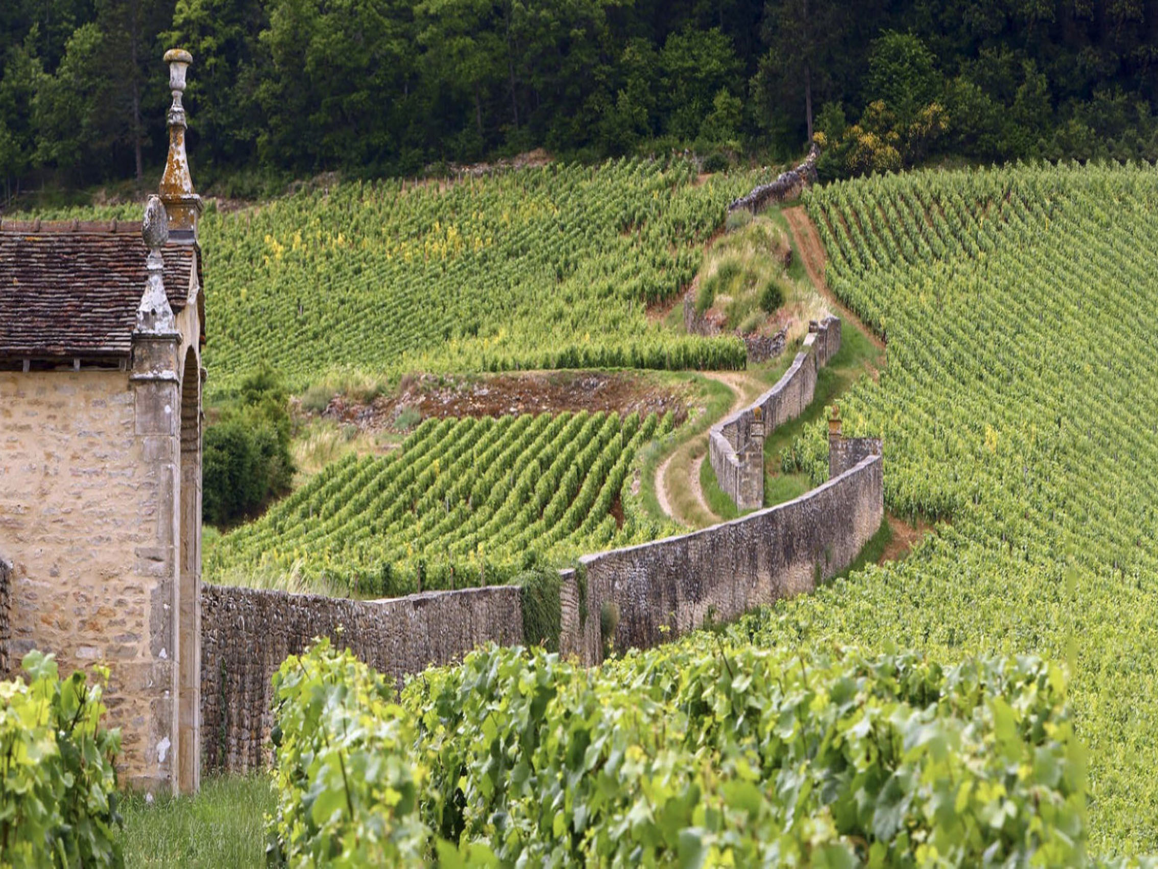 rượu vang domaine faiveley mazis-chambertin grand cru 2003