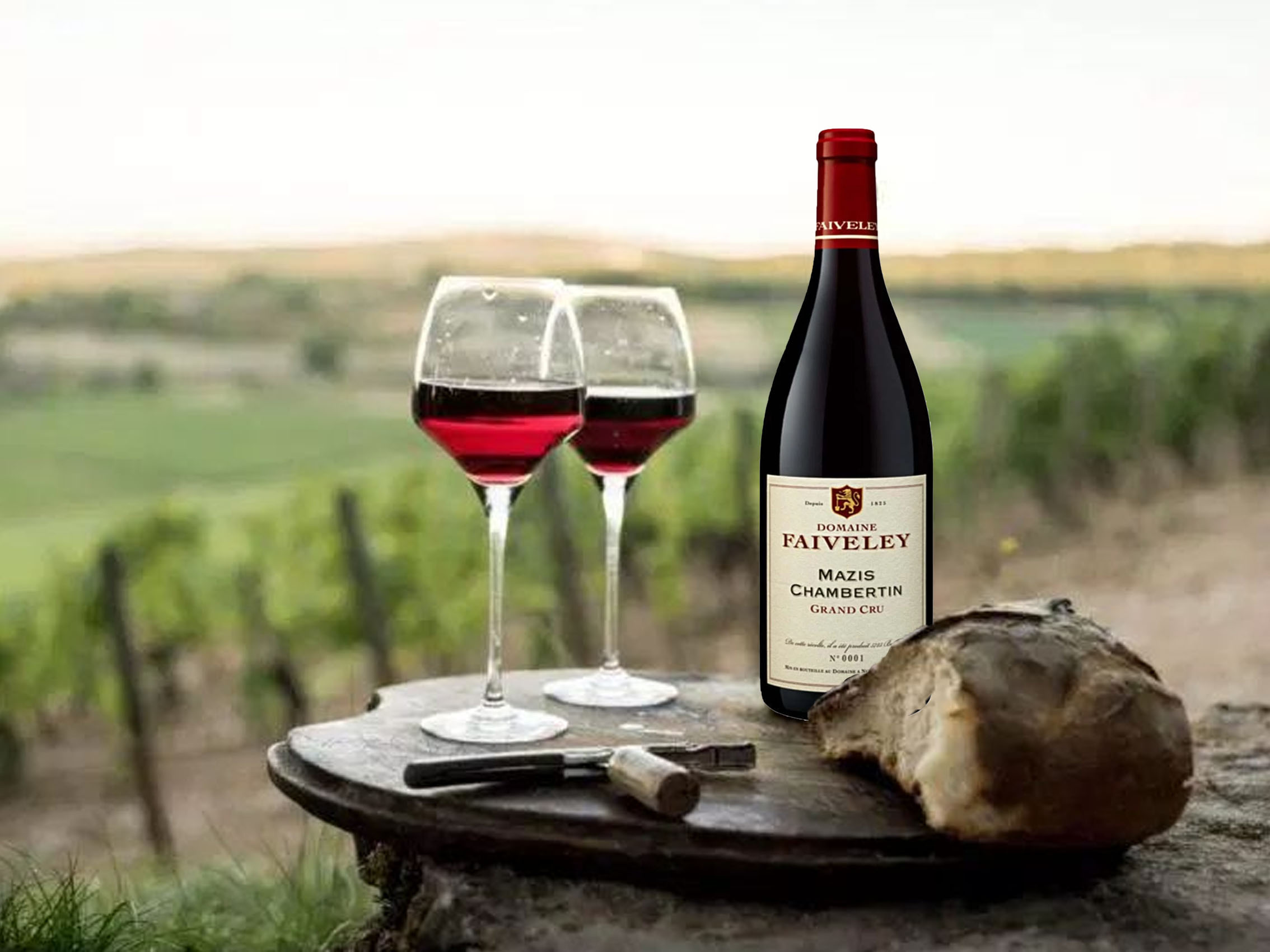 rượu vang domaine faiveley mazis-chambertin grand cru 2013