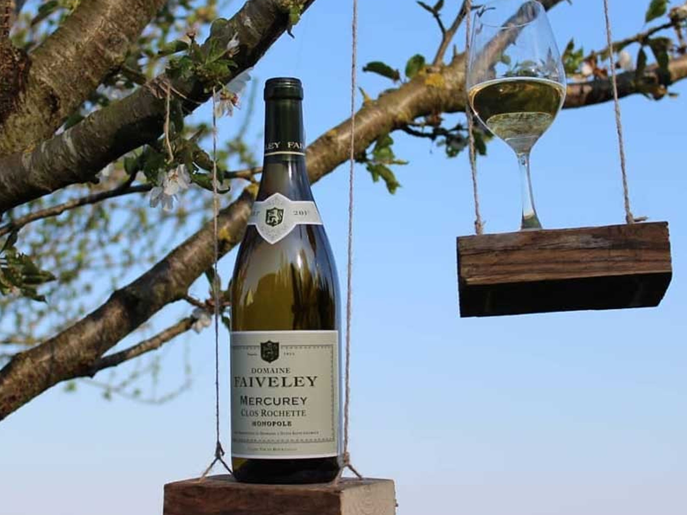 rượu vang domaine faiveley mercurey clos rochette monopole 2021